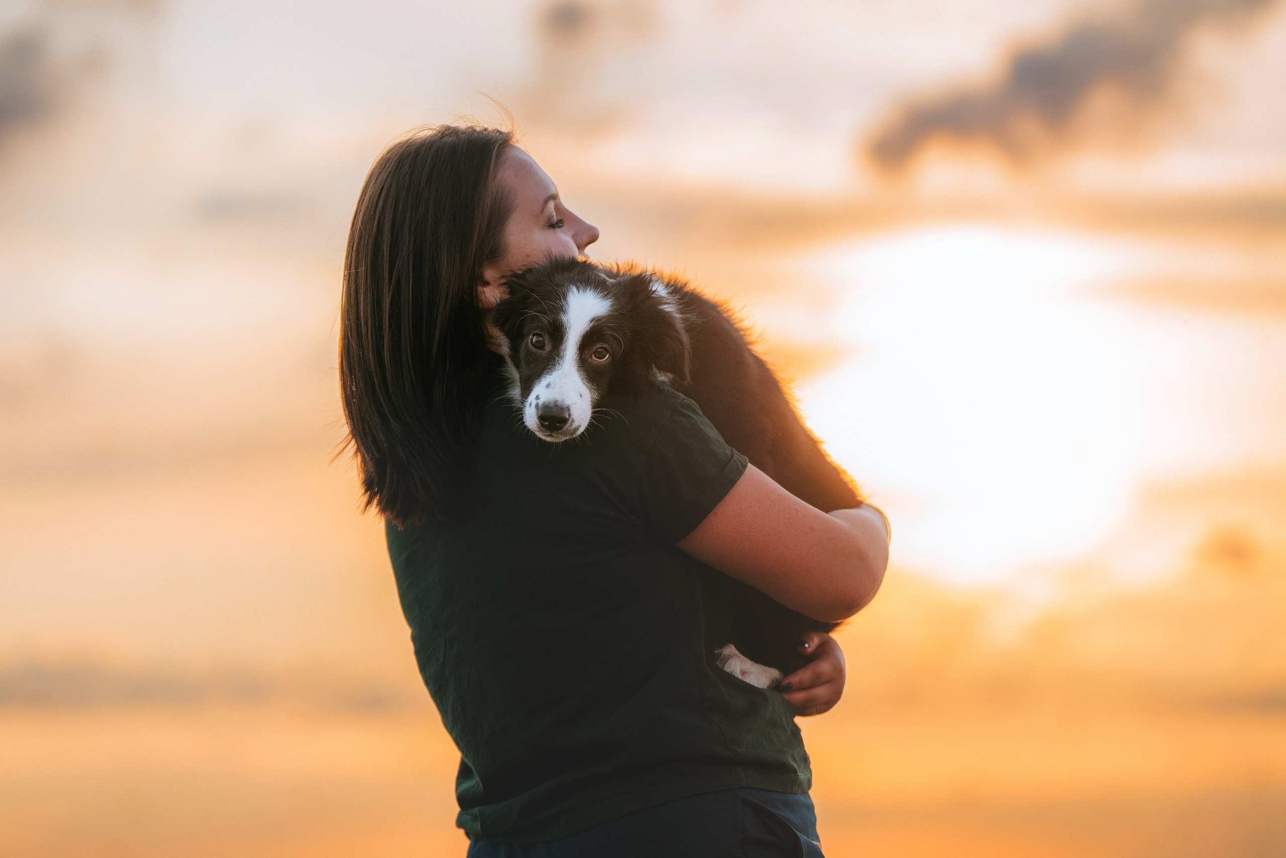 Фотосессия со щенками колли. Фотограф анималист в Спб недорого Олеся Майорова