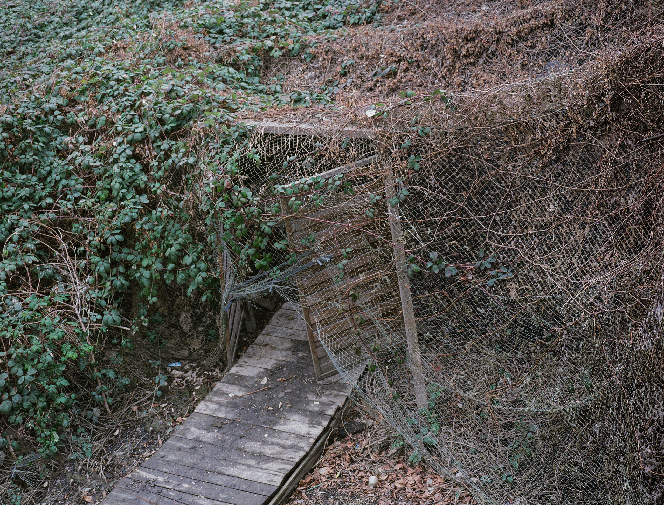 Photographer, Documentary and Art