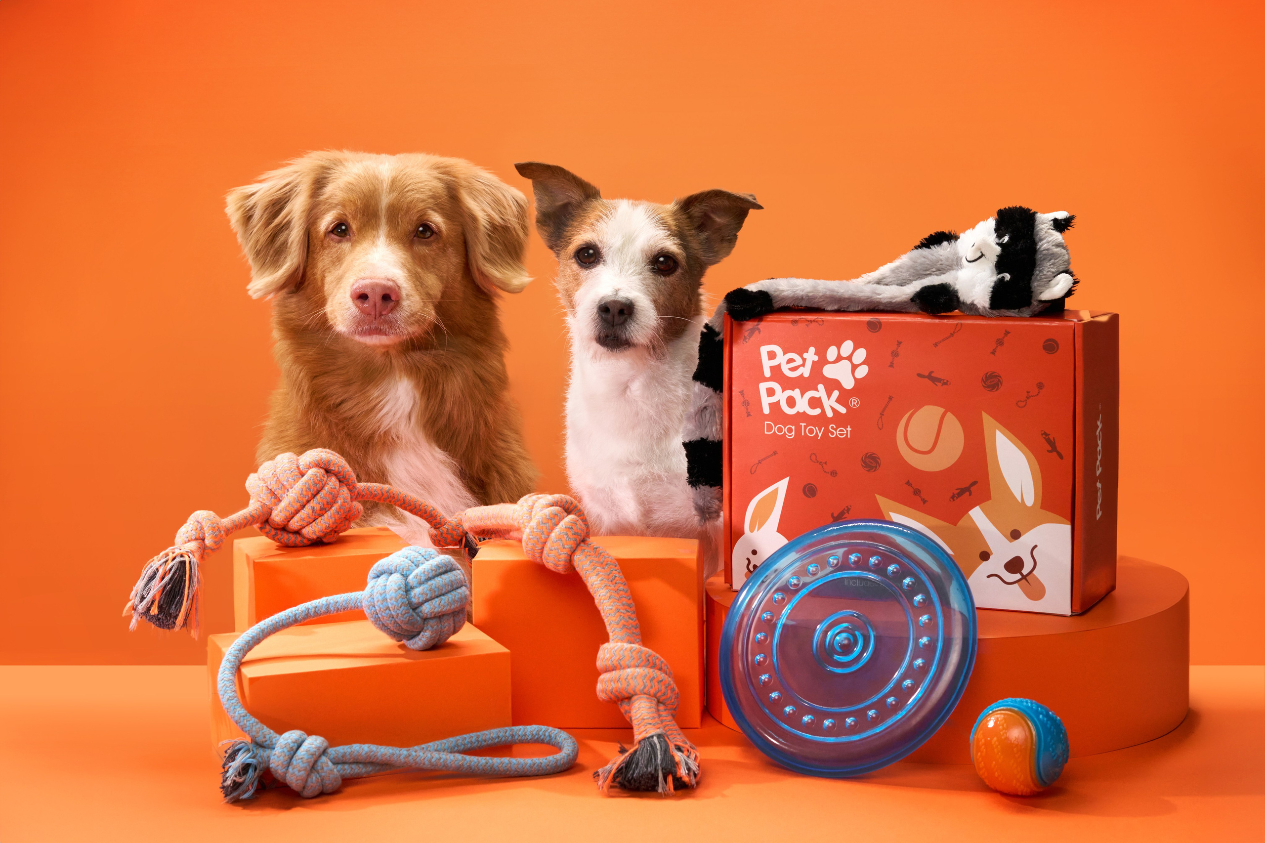 Pet Advertising Photography | Commercial Shoots with Dogs & Cats. Dog photographer Averianova Anna — Art photography of dogs