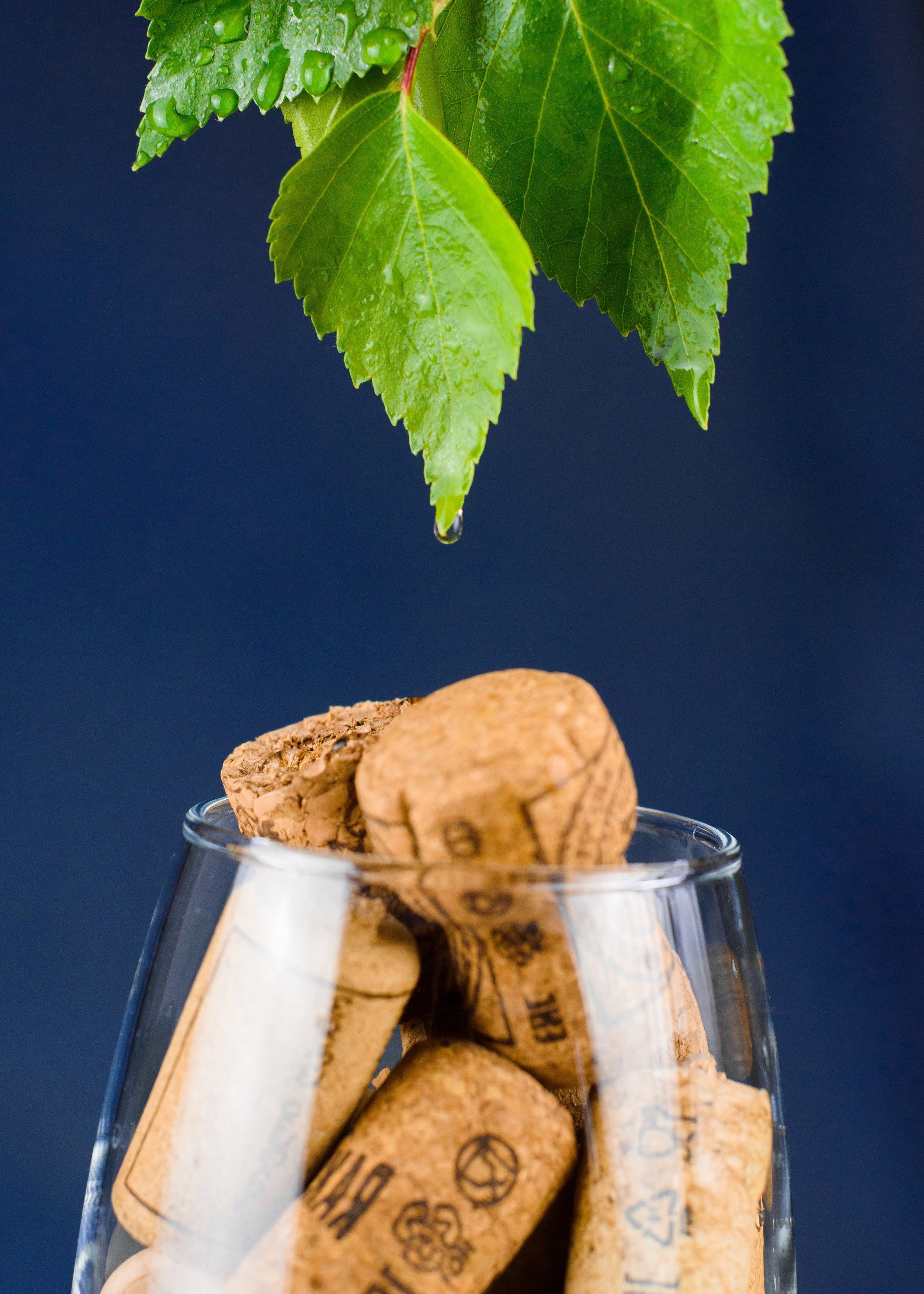 Фотографы Магнитогорск, лучшие фотограф в магнитогорск, топ 10,. Evgeniy Roslov