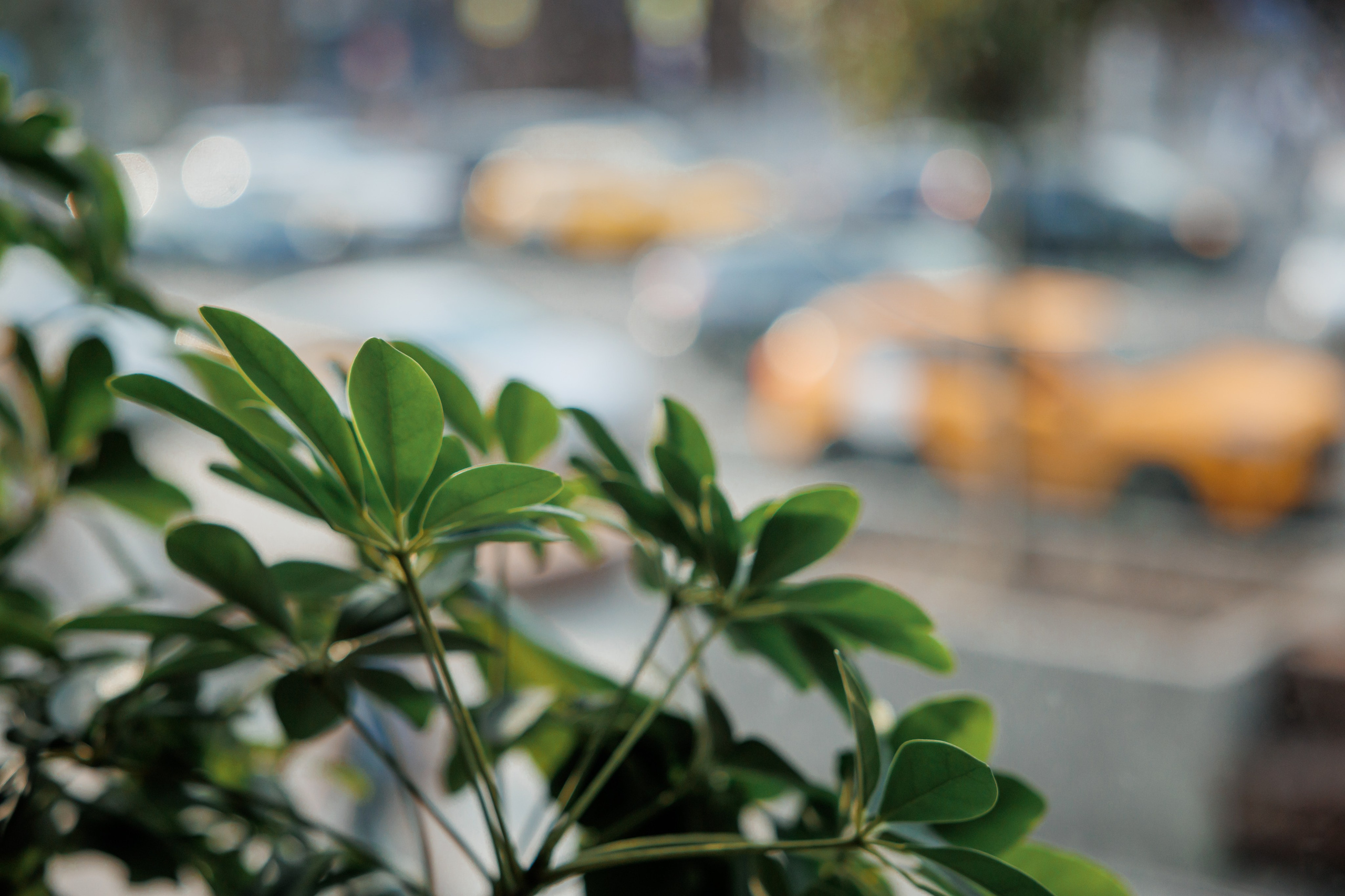 Галина и Алексей. Свадебный и репортажный фотограф (Москва, Королев и другие)