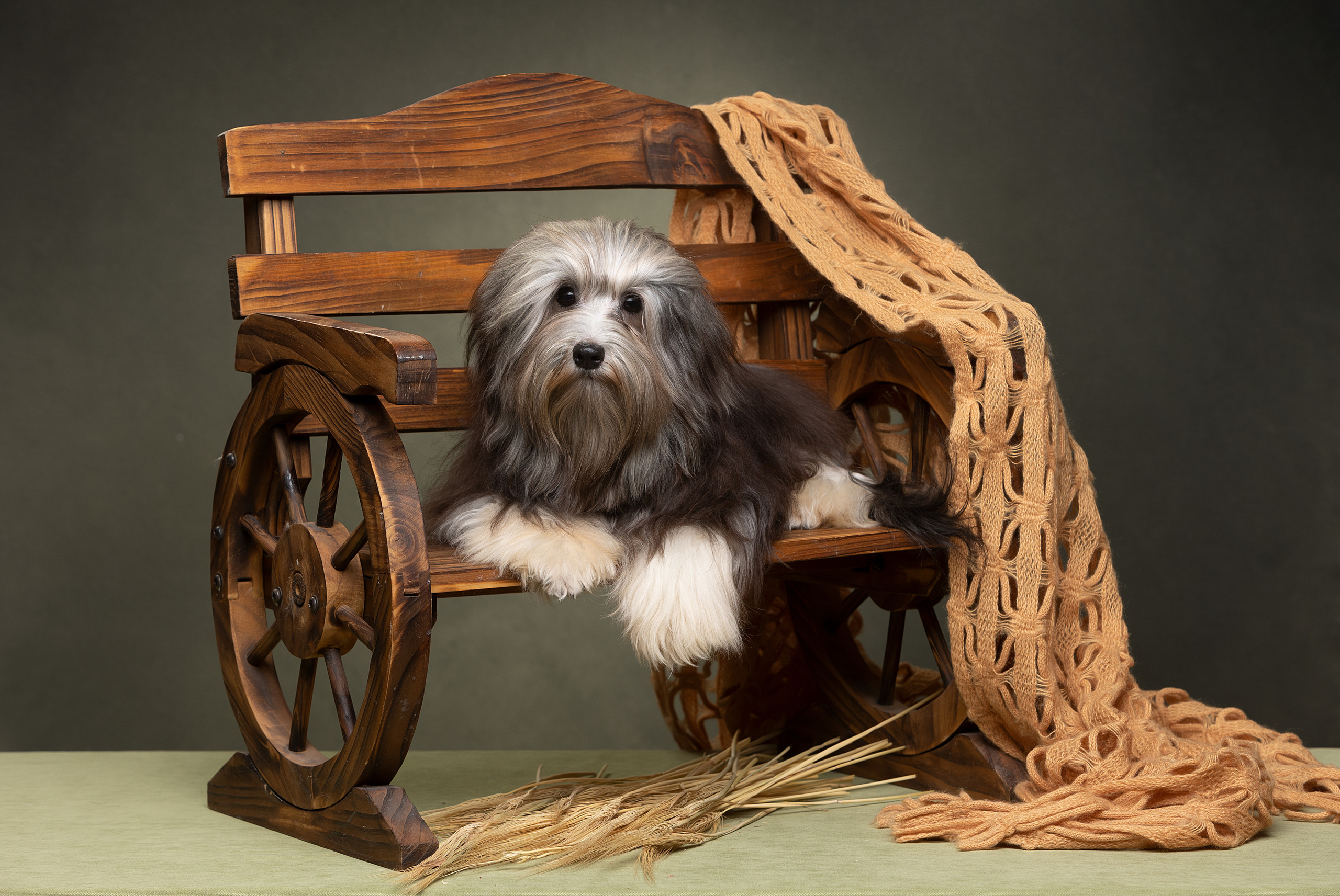 Фотограф-анималист Антон Базылевич