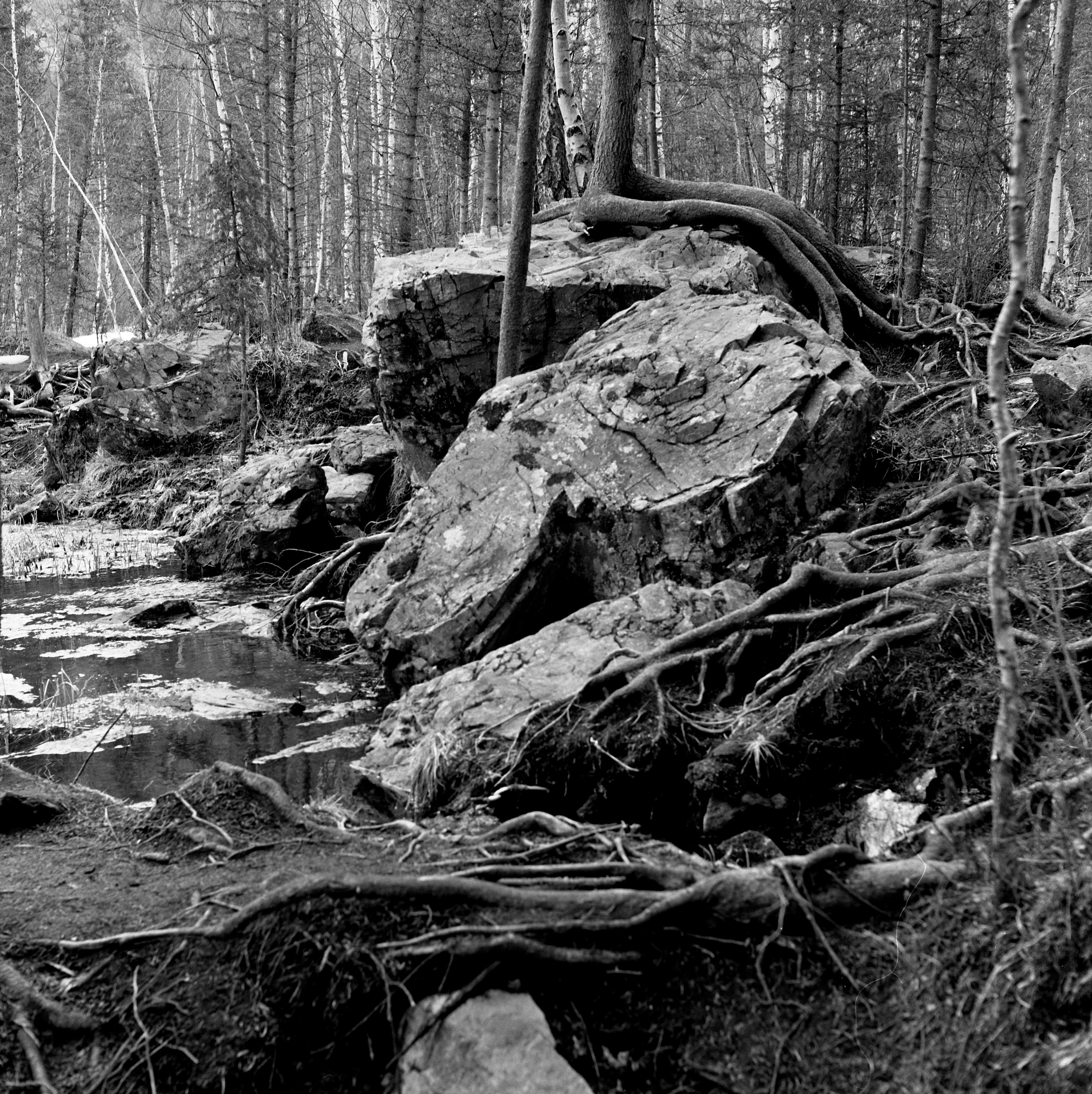 Алтай, Россия. Elena Nikitina. Photo Artist. Film photography. Prints