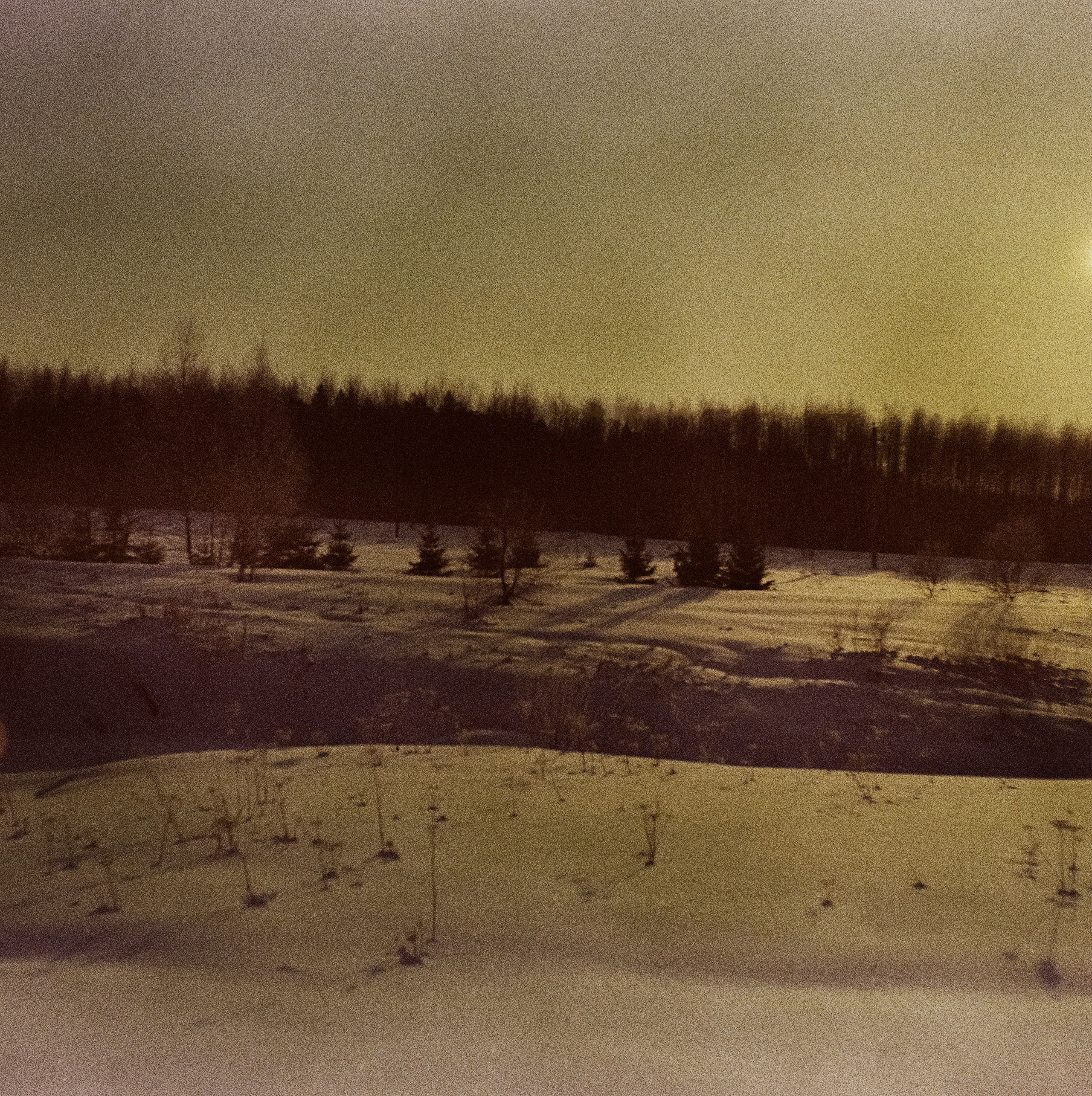 Kodak Ektachrome 64T / Franka Solida III / Архангельское, Лукино