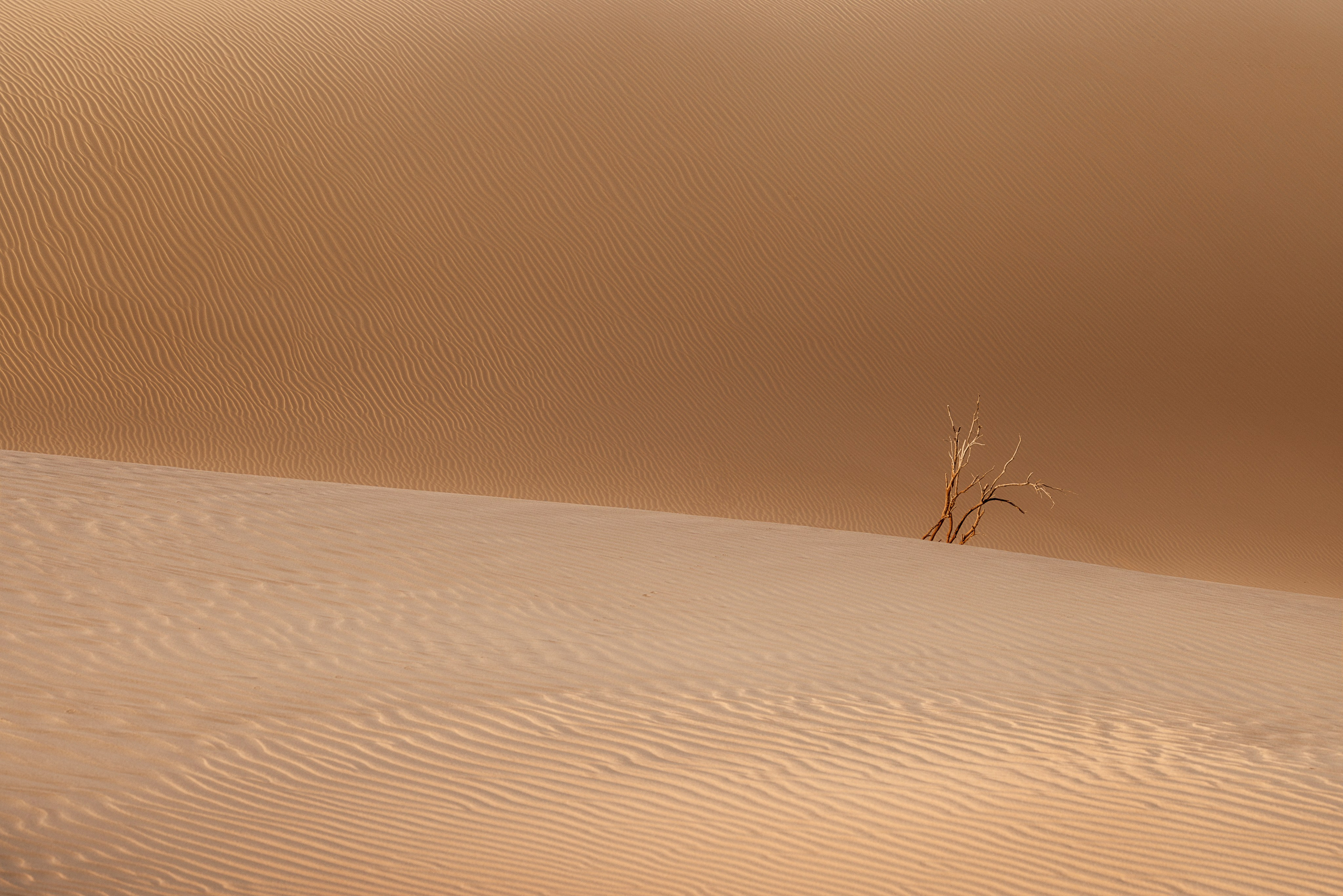 Мангистау Апрель 2025 | Фотограф Дмитрий Купрацевич. Дмитрий Купрацевич профессиональный пейзажный и travel-фотограф