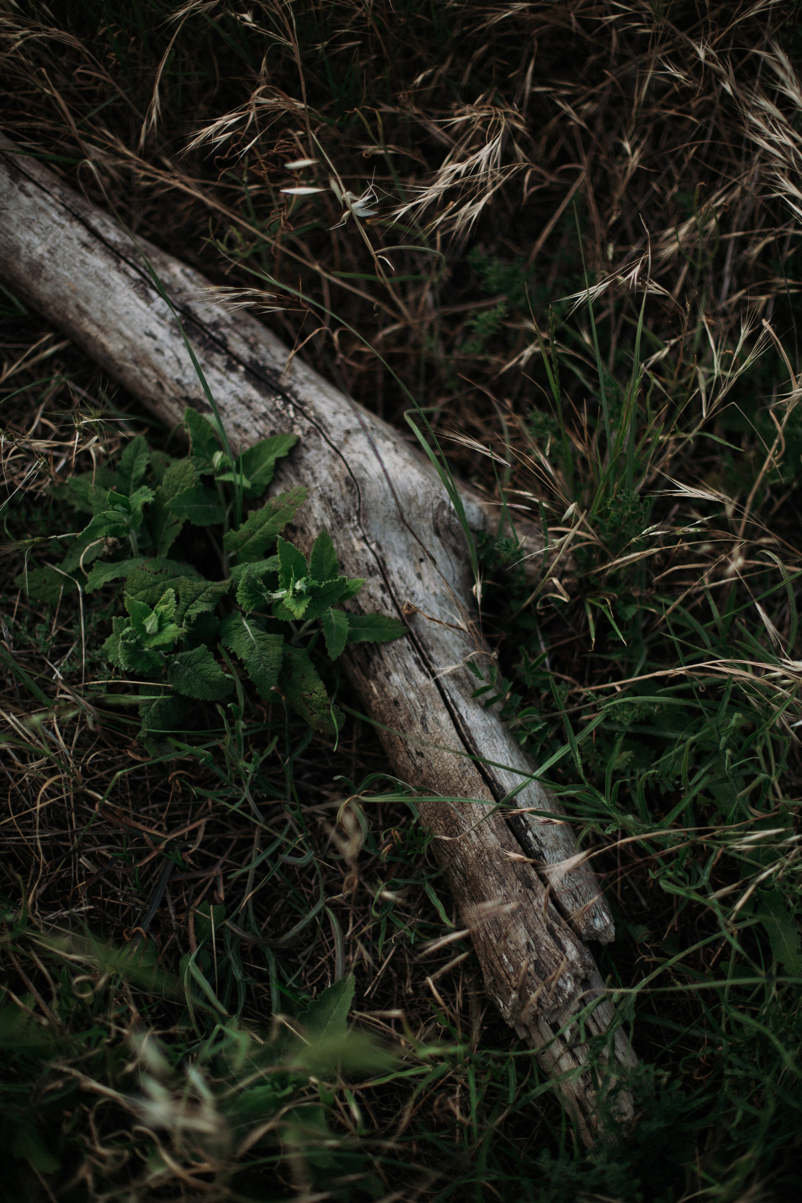 Дороги земли ветров. Портретный фотограф в Москве и Геленджике Кирилл Вахитов