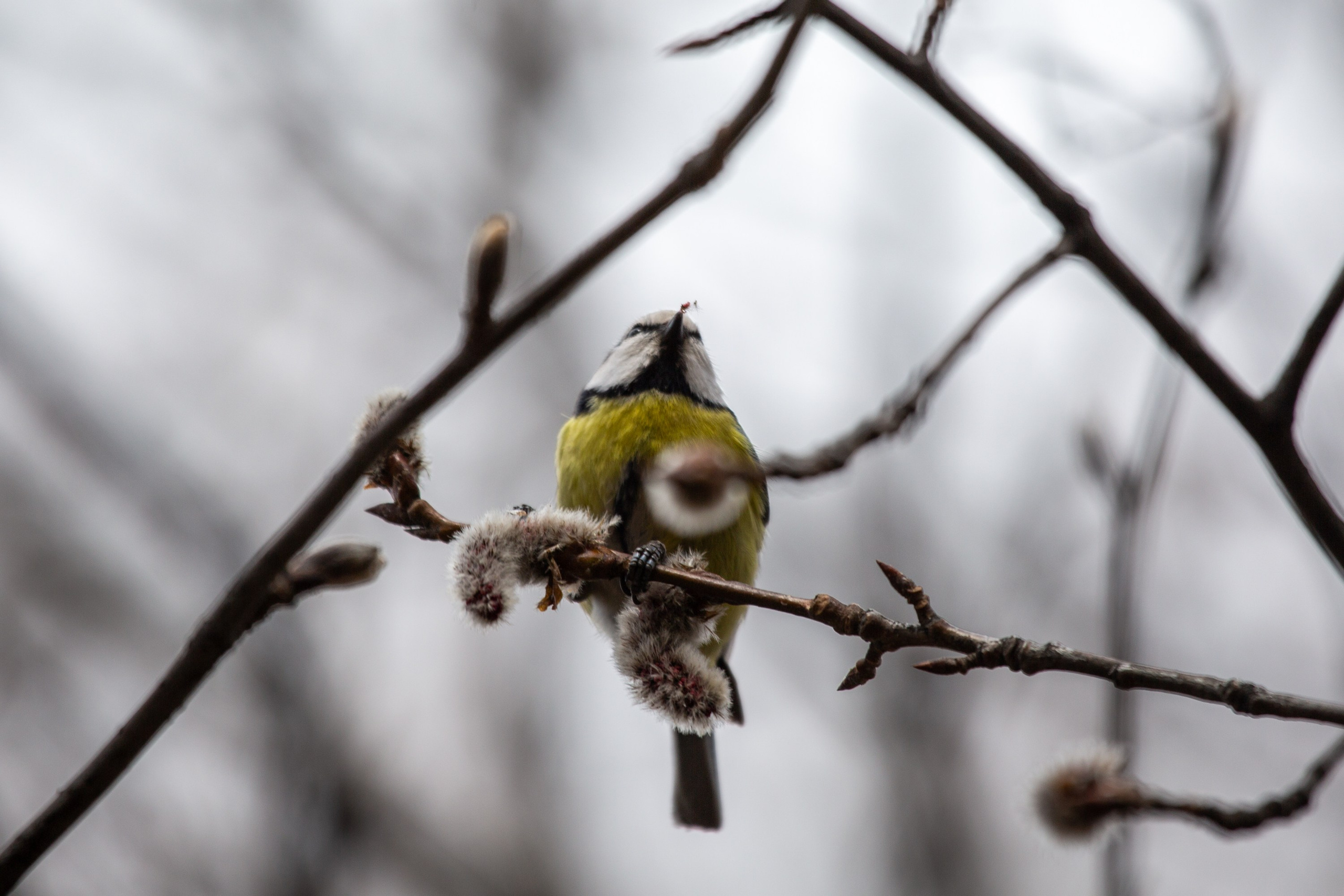 Весенняя фотопрогулка. Главная