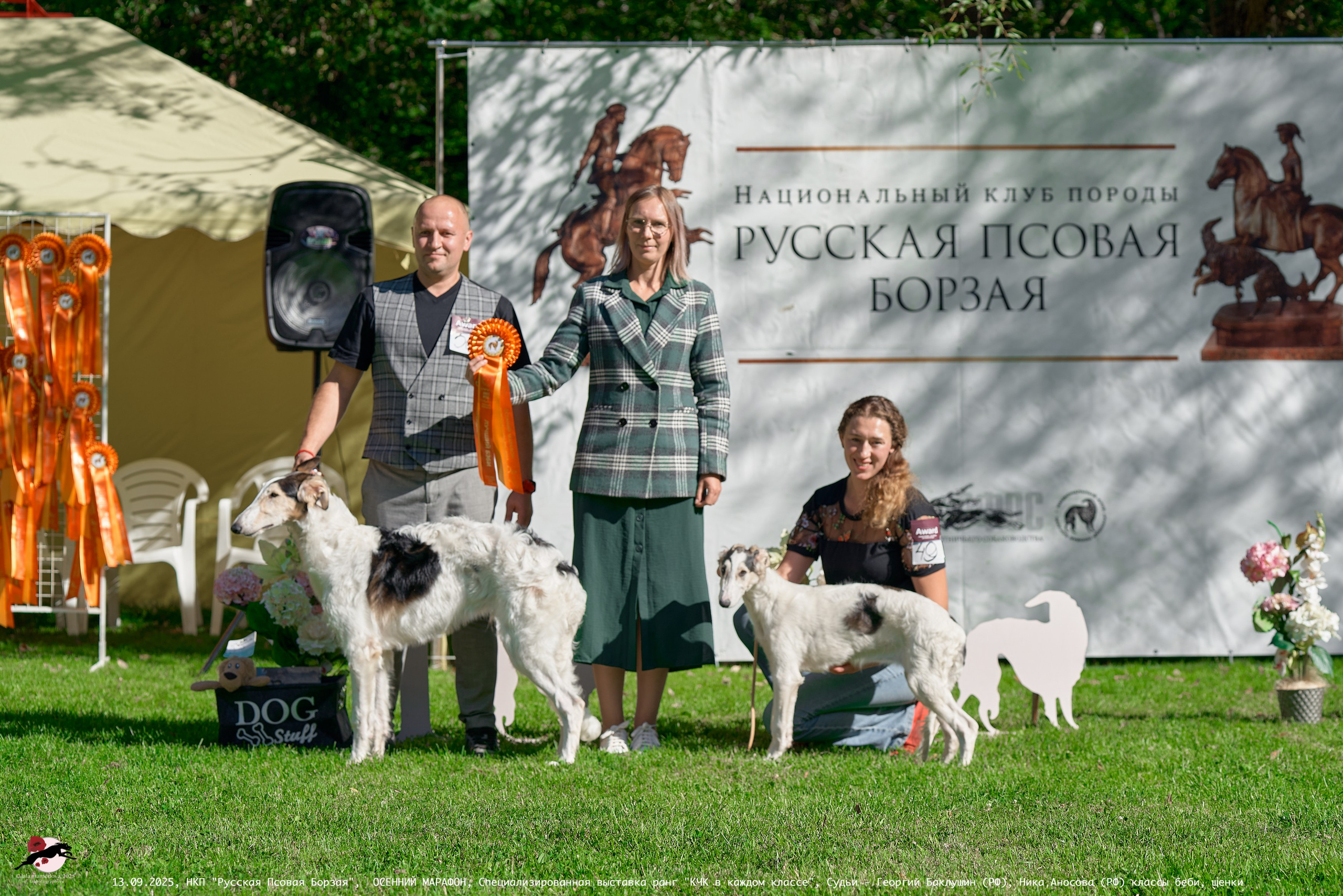 ОСЕННИЙ МАРАФОН | Специализированная выставка породы Русская Псовая Борзая ранг "КЧК в каждом классе"