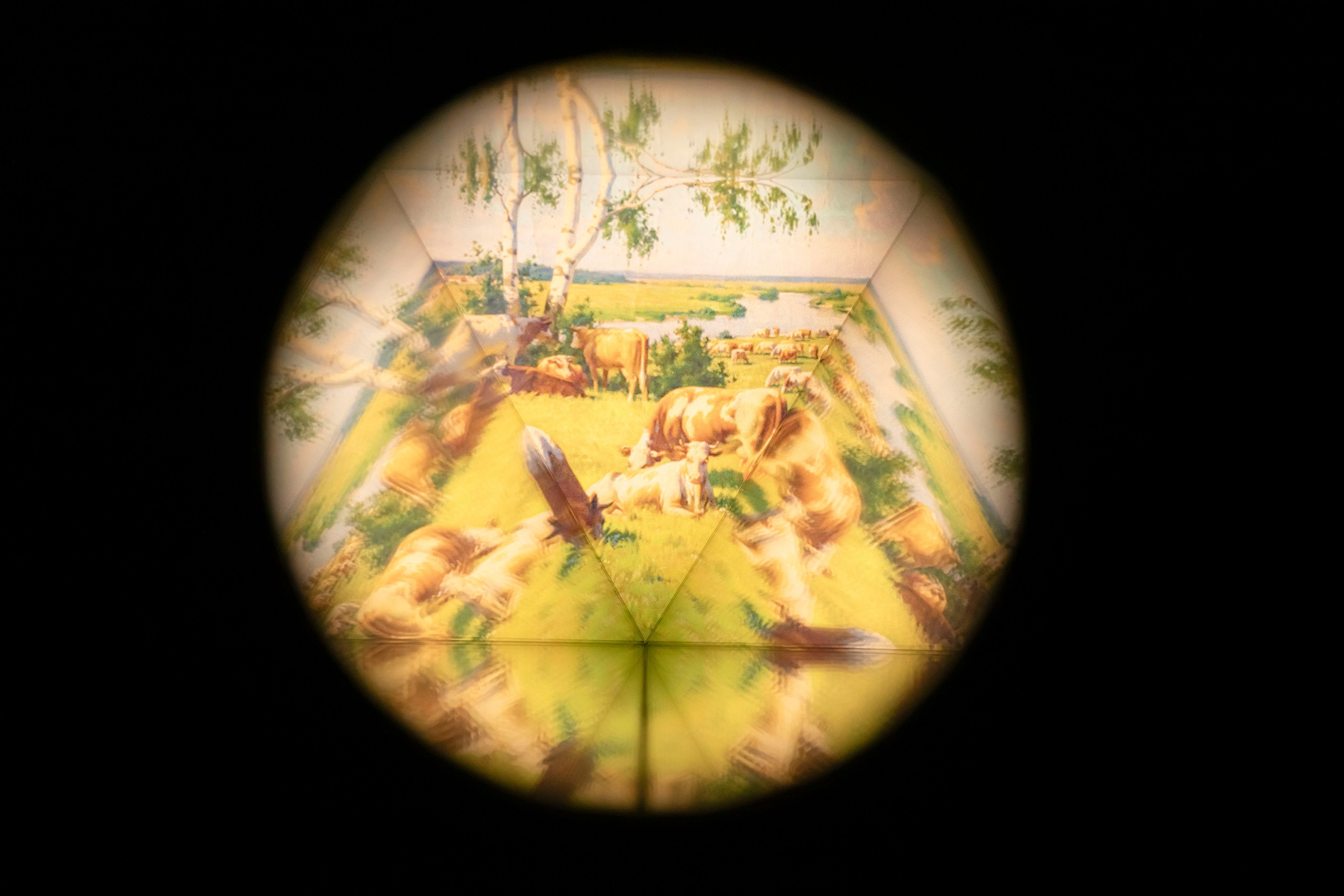 Орнамент массы. калининградский код (2026). Julia Gorbunova