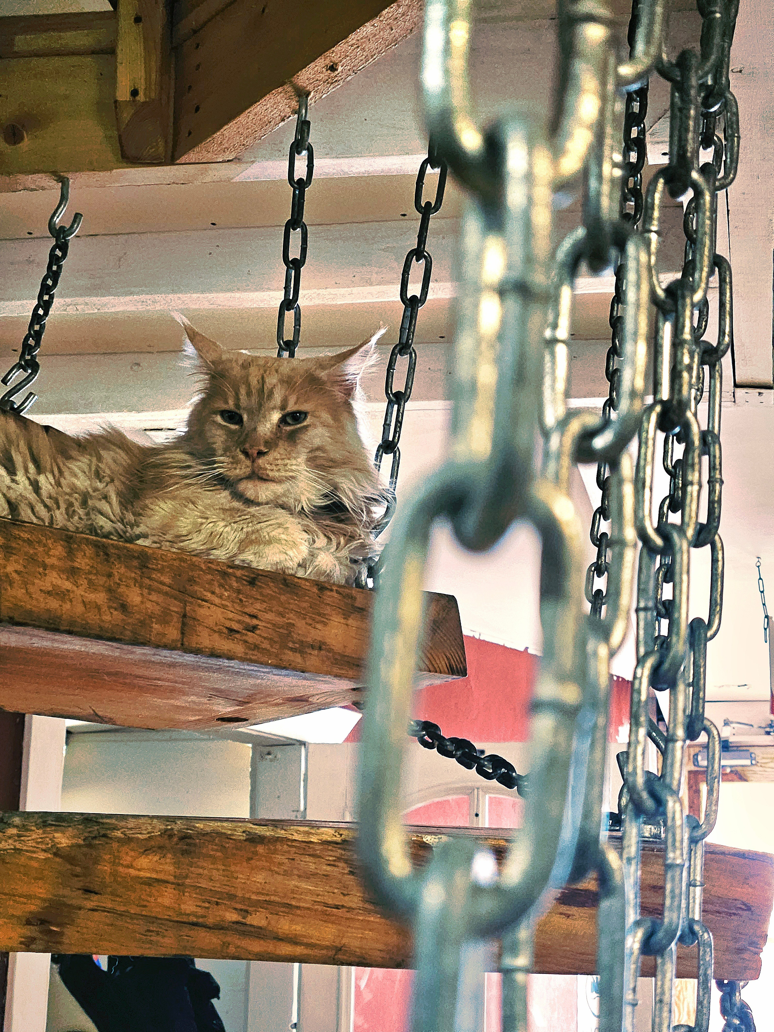 МАСЛЕНИЦА В АРТ-РЕЗИДЕНЦИИ ГУСЛИЦА: ИНТРО. Художник Анастасия Кисткина, Петербург