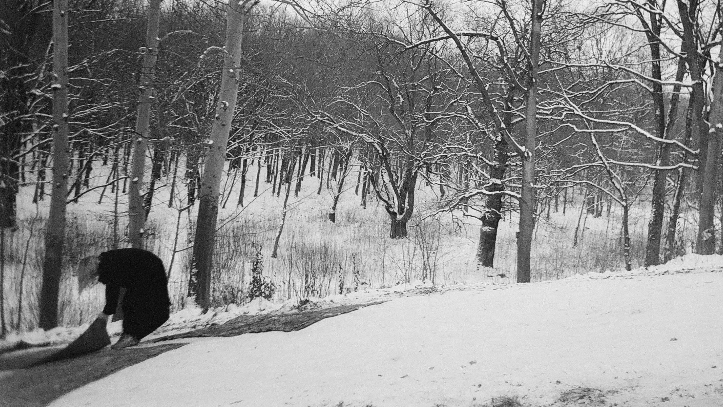 ЖЕНЩИНЫ, ВЫБИВАЮЩИЕ КОВРЫ. Художественная группа «Нежные Бабы»