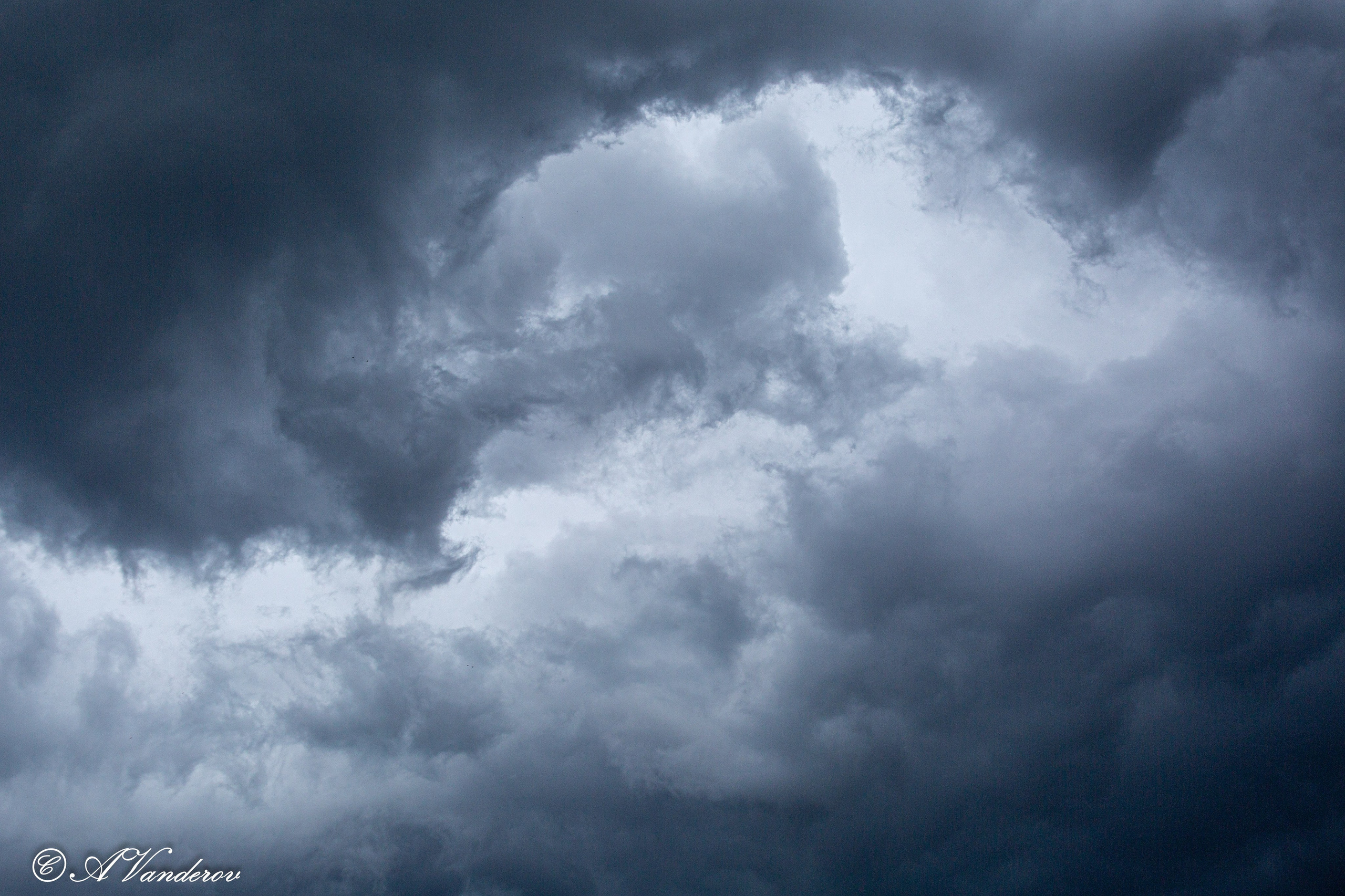 Прогулка 22.05.2024. Фотограф Омск | Александр Вандеров