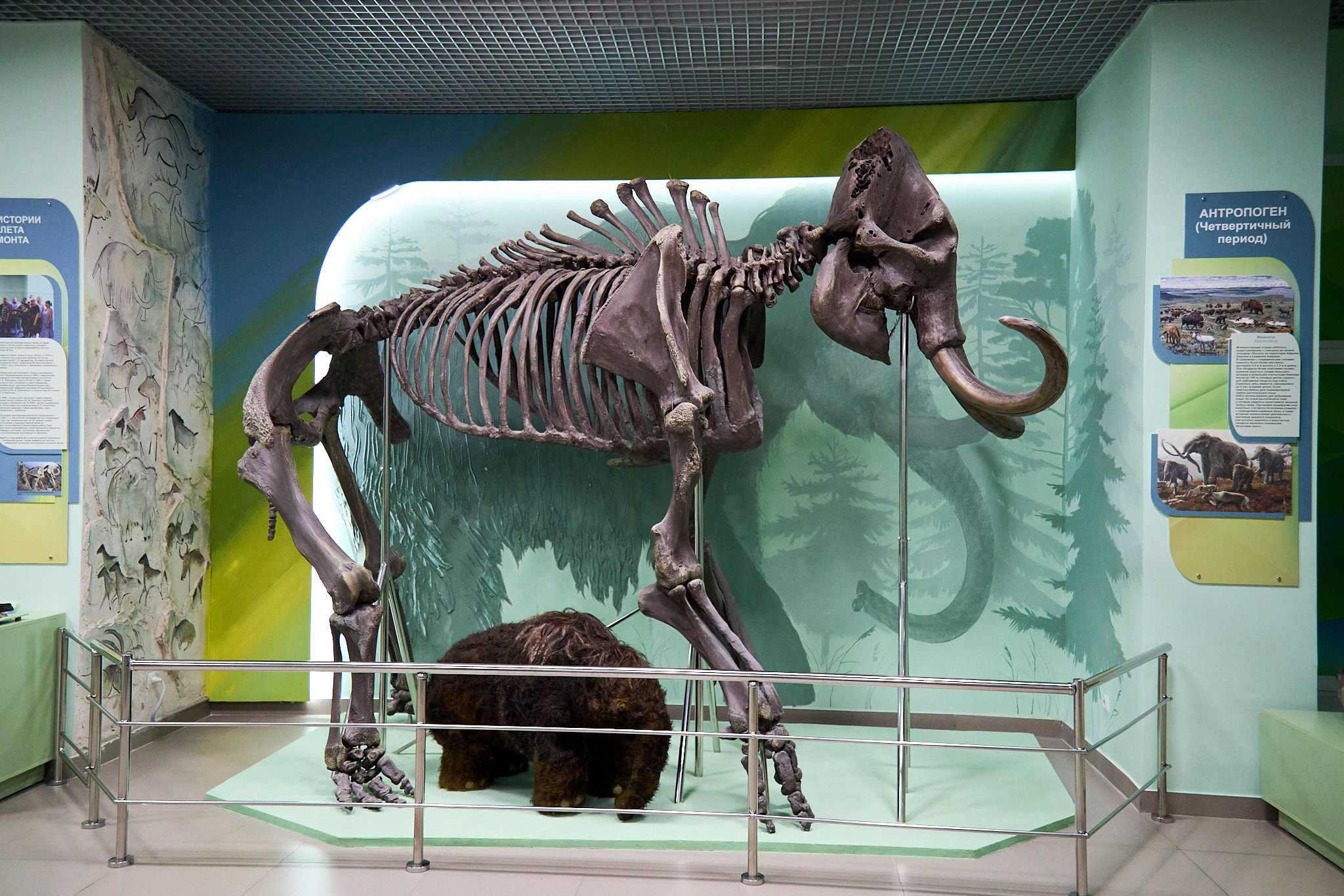 Ночь музеев 2025. Фотограф Омск | Александр Вандеров