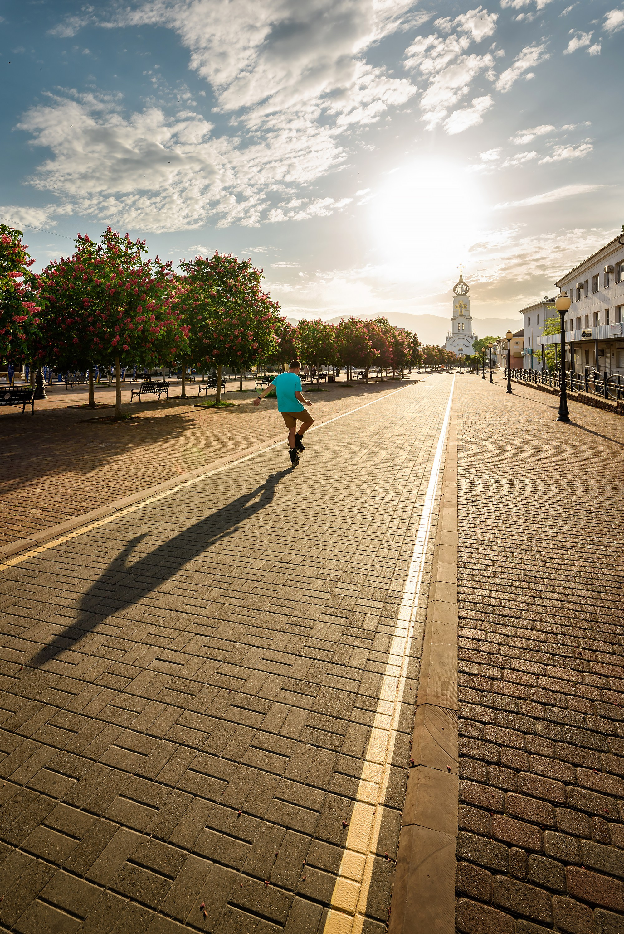 Краснодарский край, локация, фотосессия, Бульвар Черняховского, г. Новороссийск, аллея, каштаны, цветущие каштаны, розовые каштаны