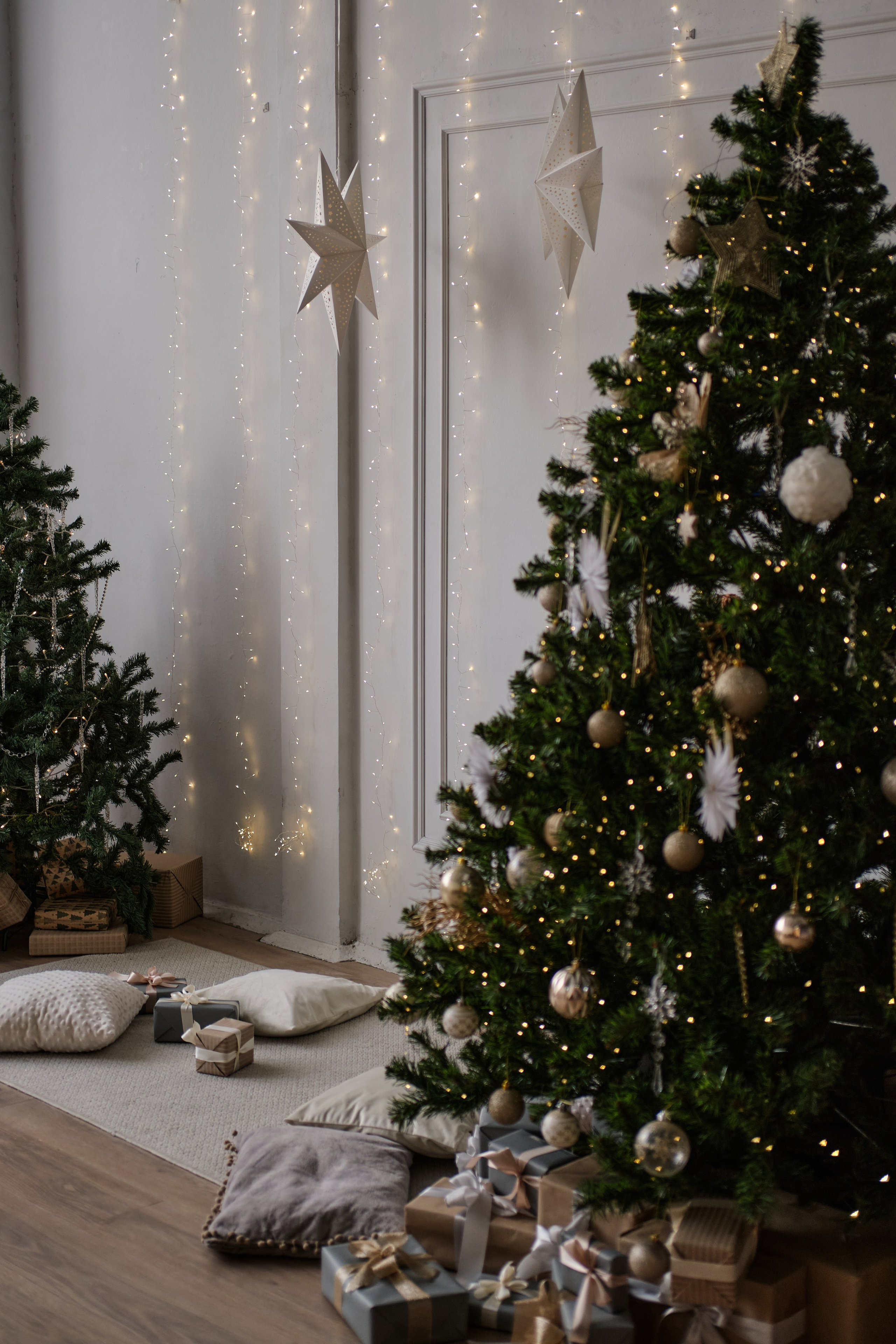 ЗАЛЫ. Фотостудия Нижний Новгород