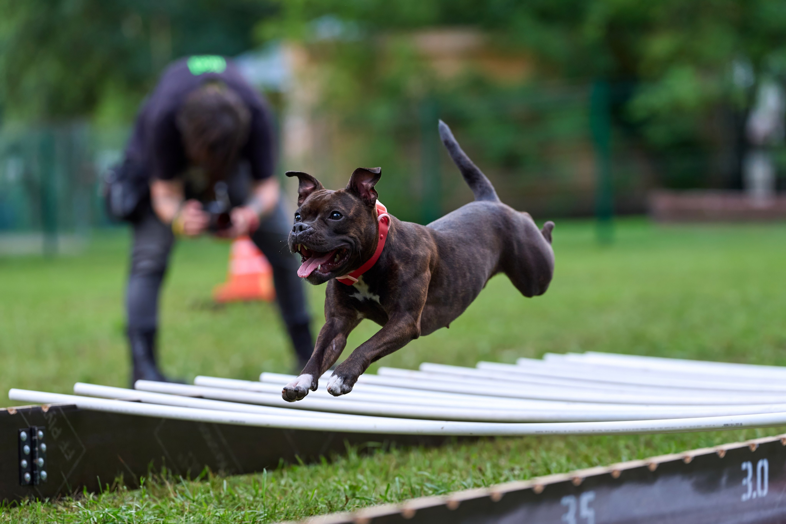 Jump'n'Gym JUMP! — 2024. Фотограф-анималист Михаил Манухин