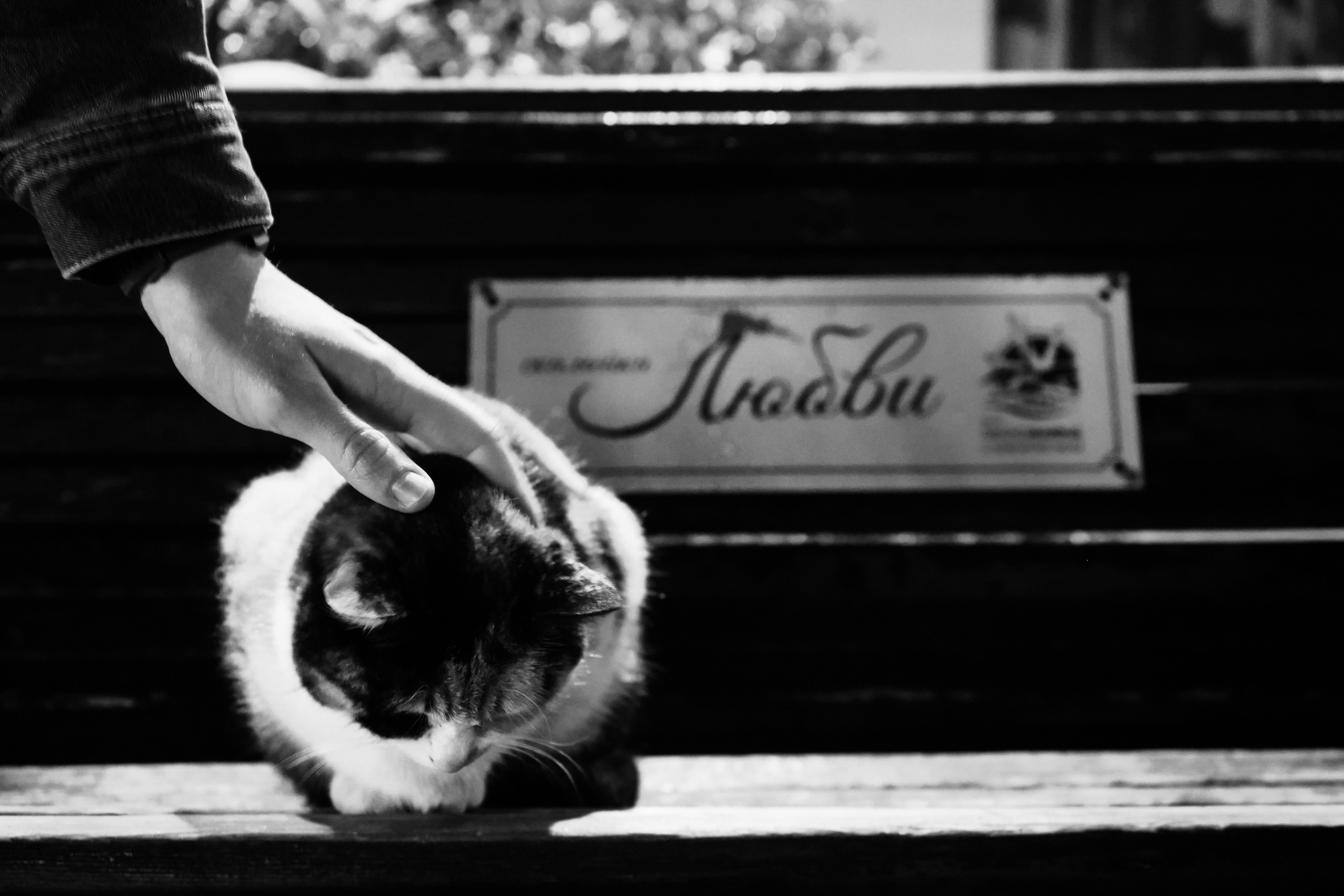 Объективно. Показываю жизнь через свои кадры