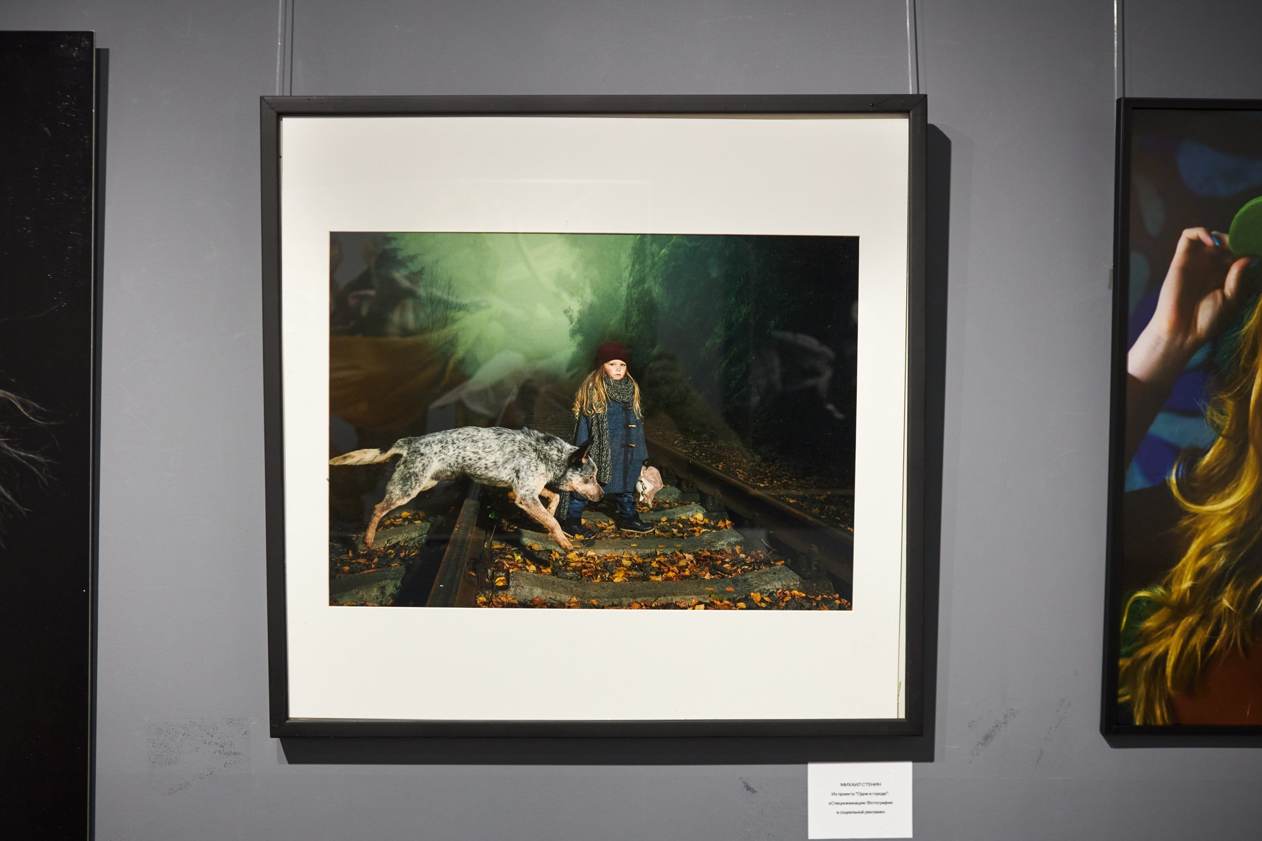 КРАСОТА МОМЕНТА. Фотограф Михаил Стенин