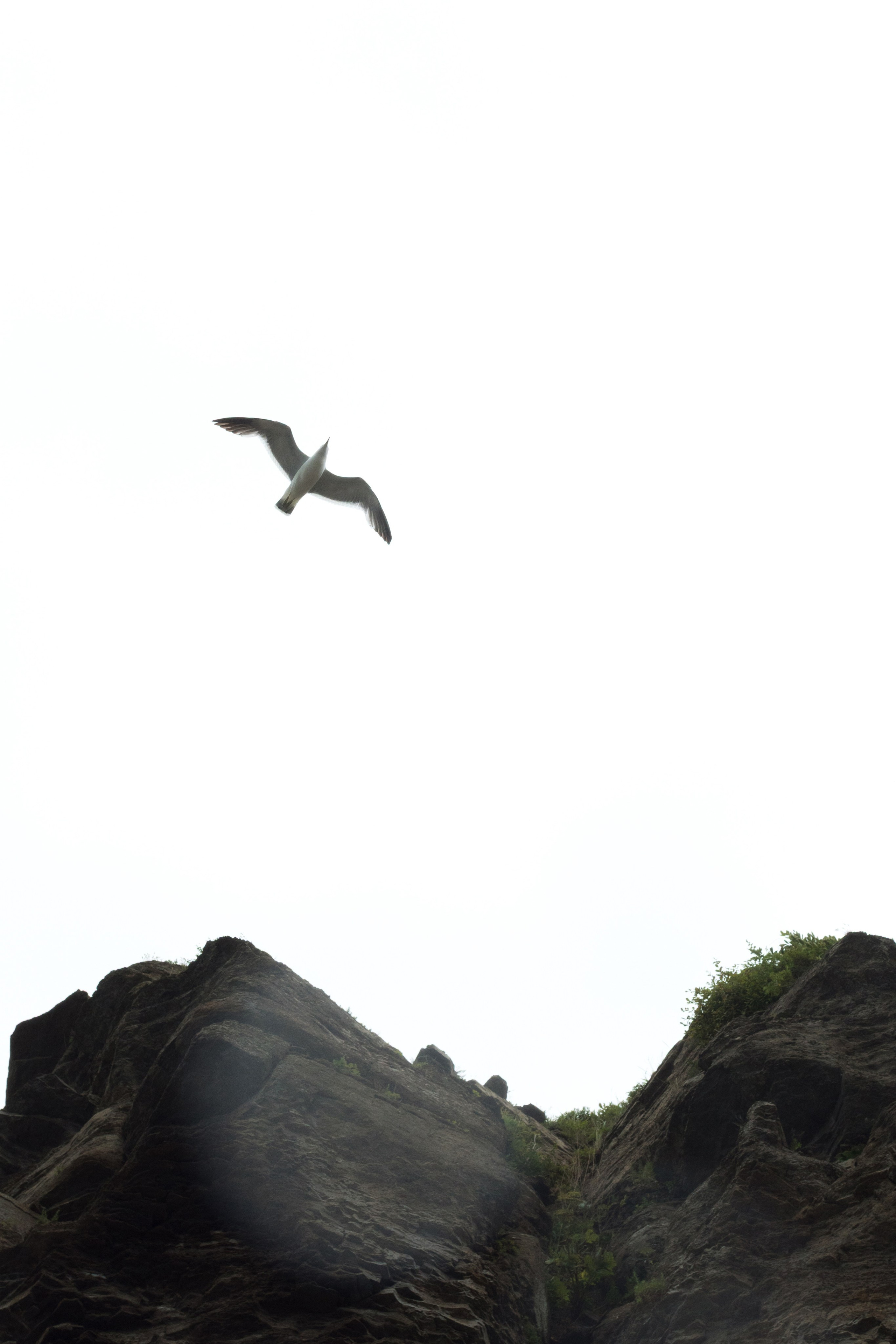 Зачем мне фотосессия?. Фотограф Алексей Селин Владивосток, Уссурийск, Находка, Артем