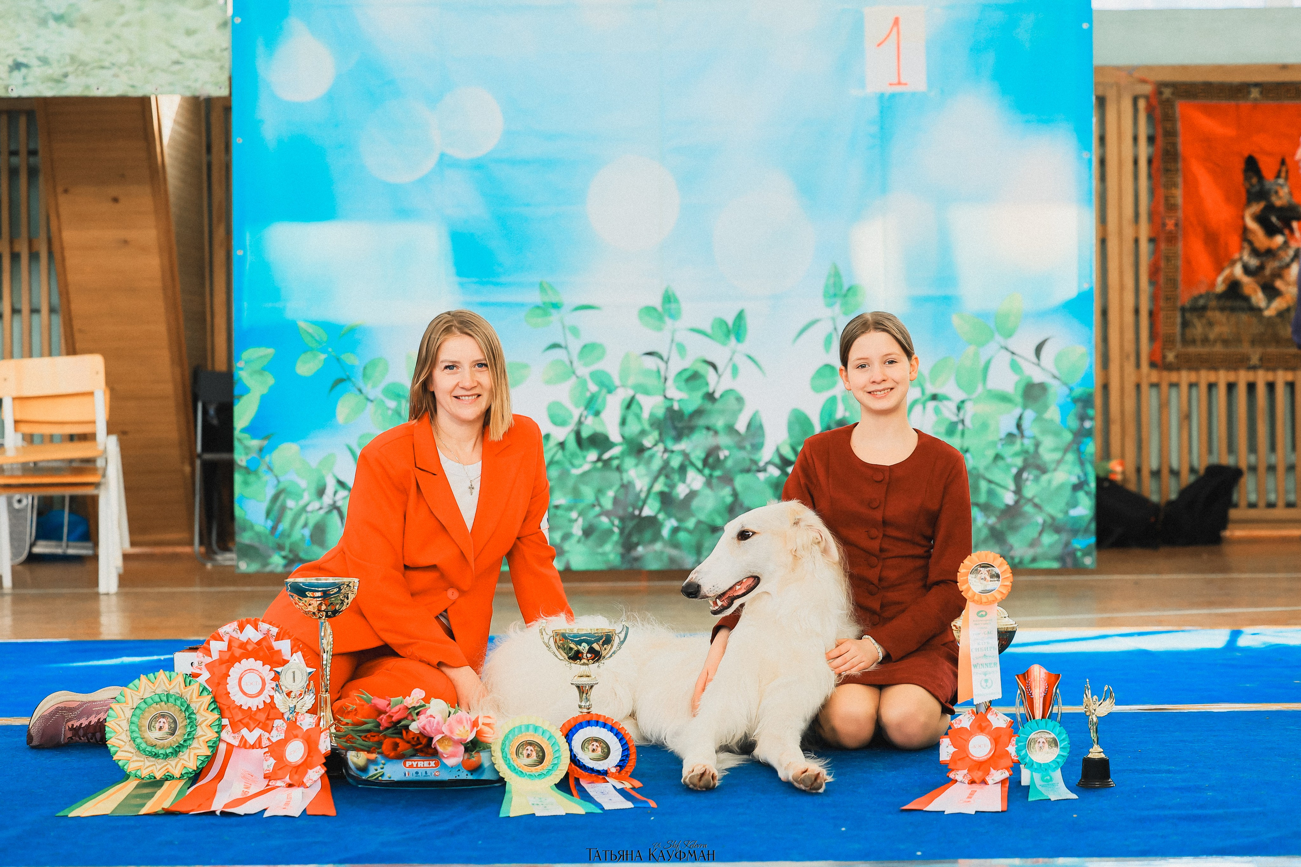 15.03.26 2х выставки собак в Новосибирске. Фотограф Анималист из Новосибирска Татьяна Кауфман