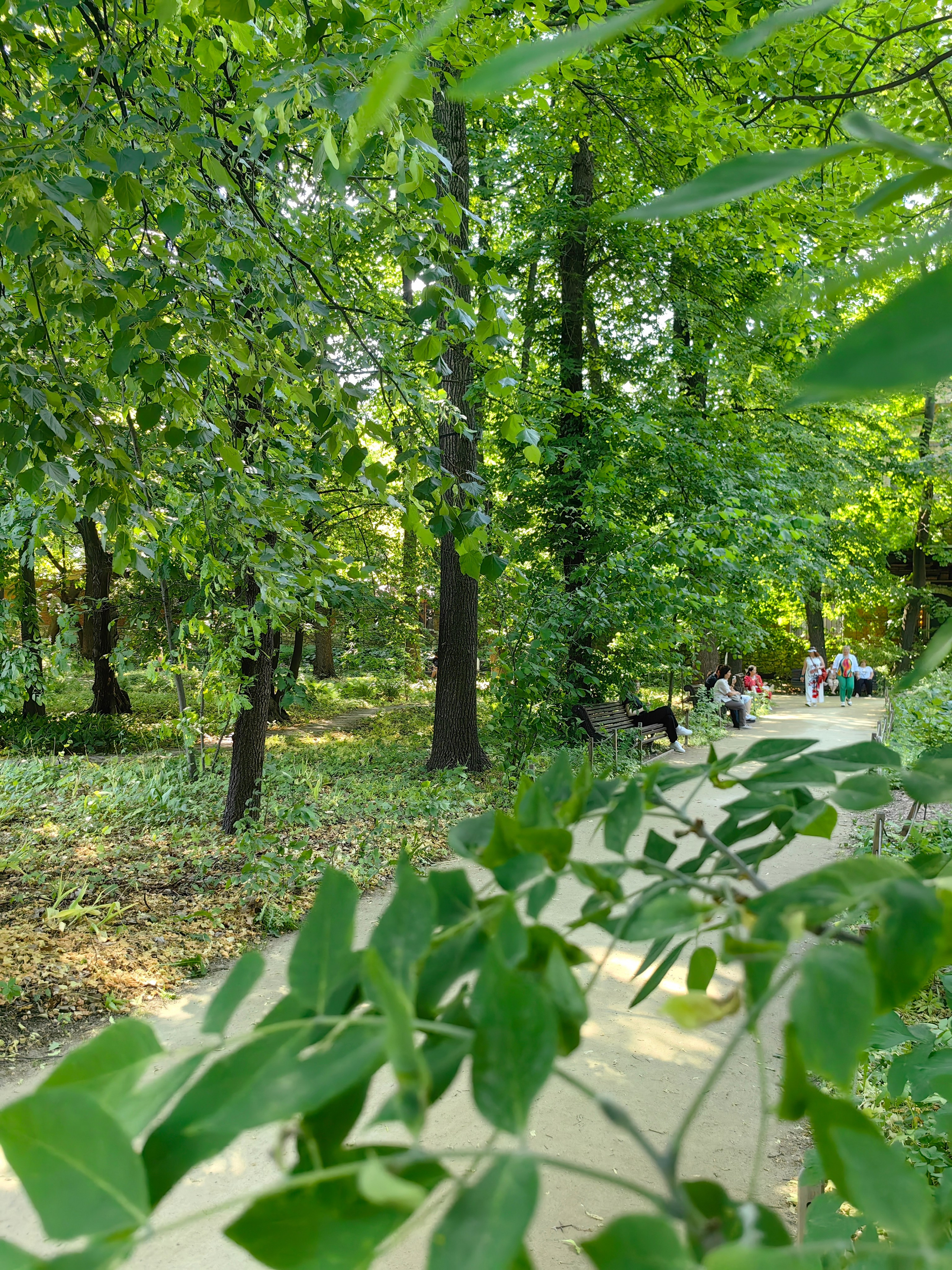 Парк АПТЕКАРСКИЙ ОГОРОД обзор. Фотограф в Москве и Московской области (Ю-В) Олеся Макарова