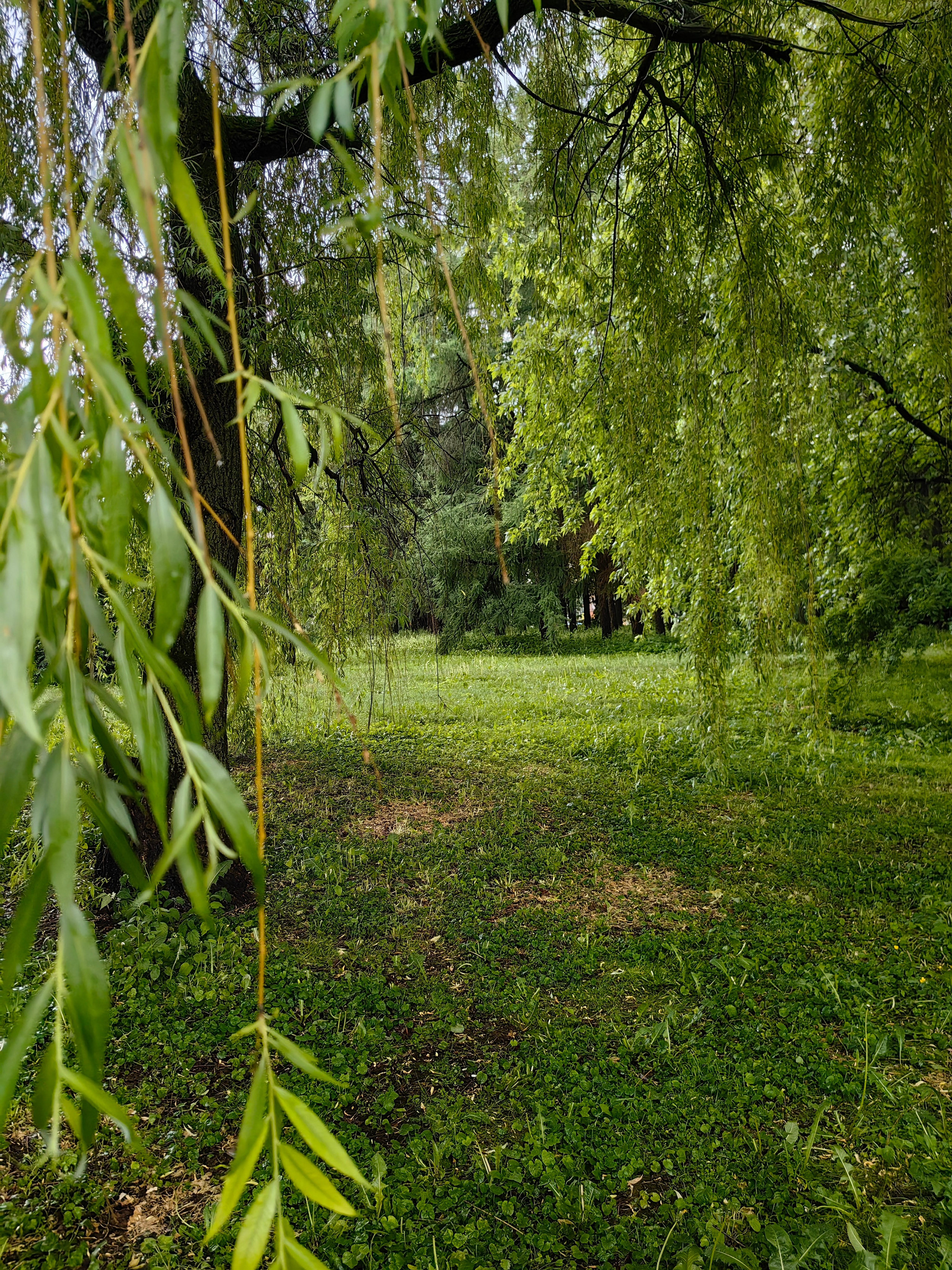 Парк БОТАНИЧЕСКИЙ САД обзор. Фотограф в Москве и Московской области (Ю-В) Олеся Макарова
