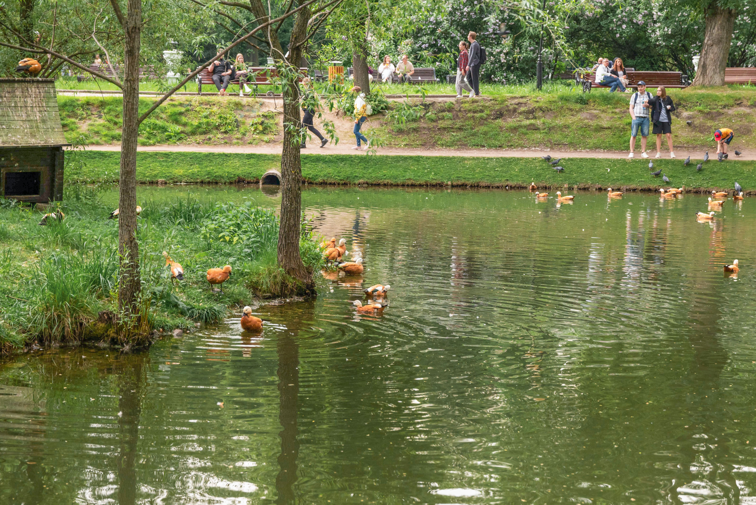 Парк ЕКАТЕРИНИНСКИЙ обзор. Фотограф в Москве и Московской области (Ю-В) Олеся Макарова