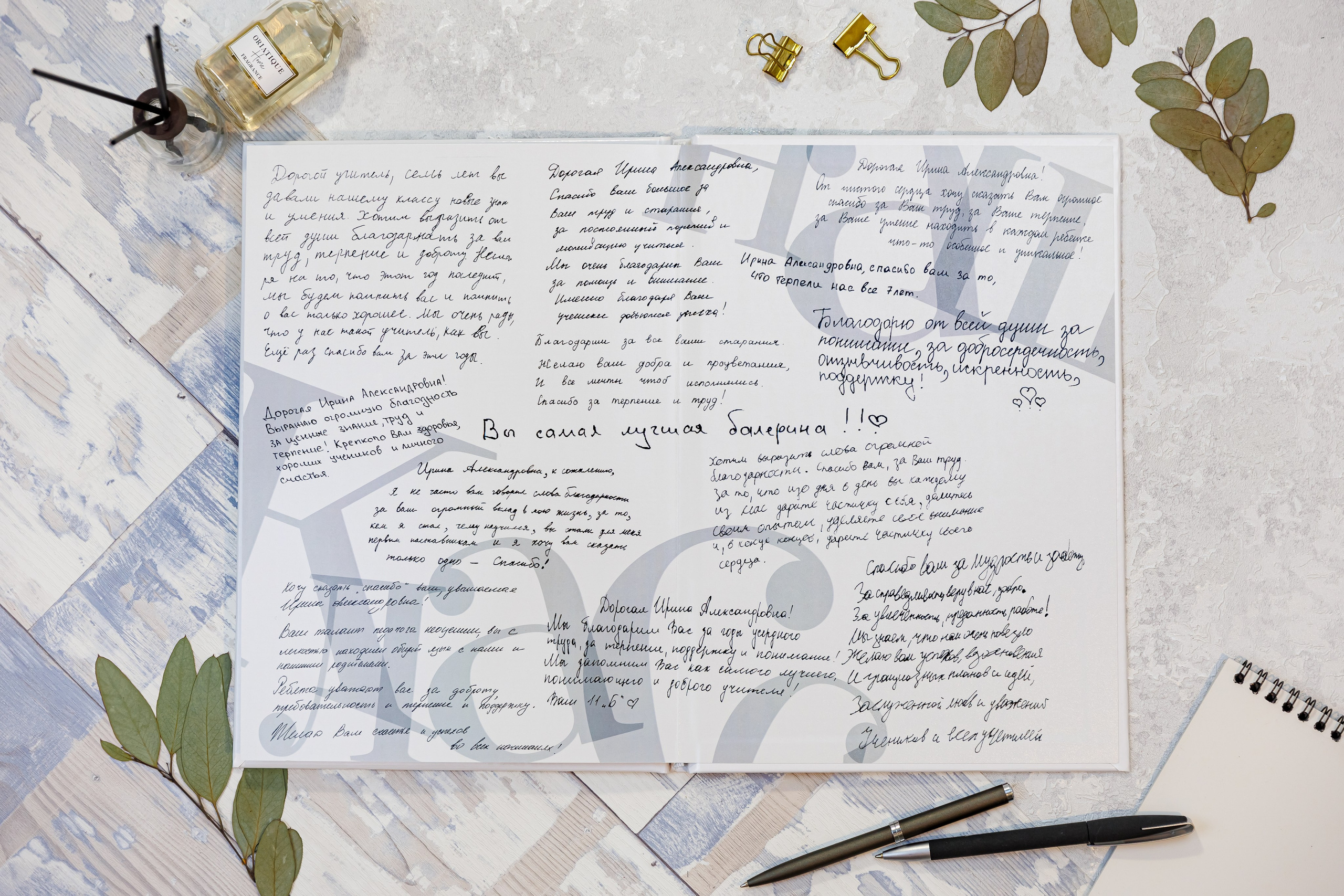 Альбомы для учителей и воспитателей. Семейный и детский фотограф Комина Елена, Власиха, Одинцово