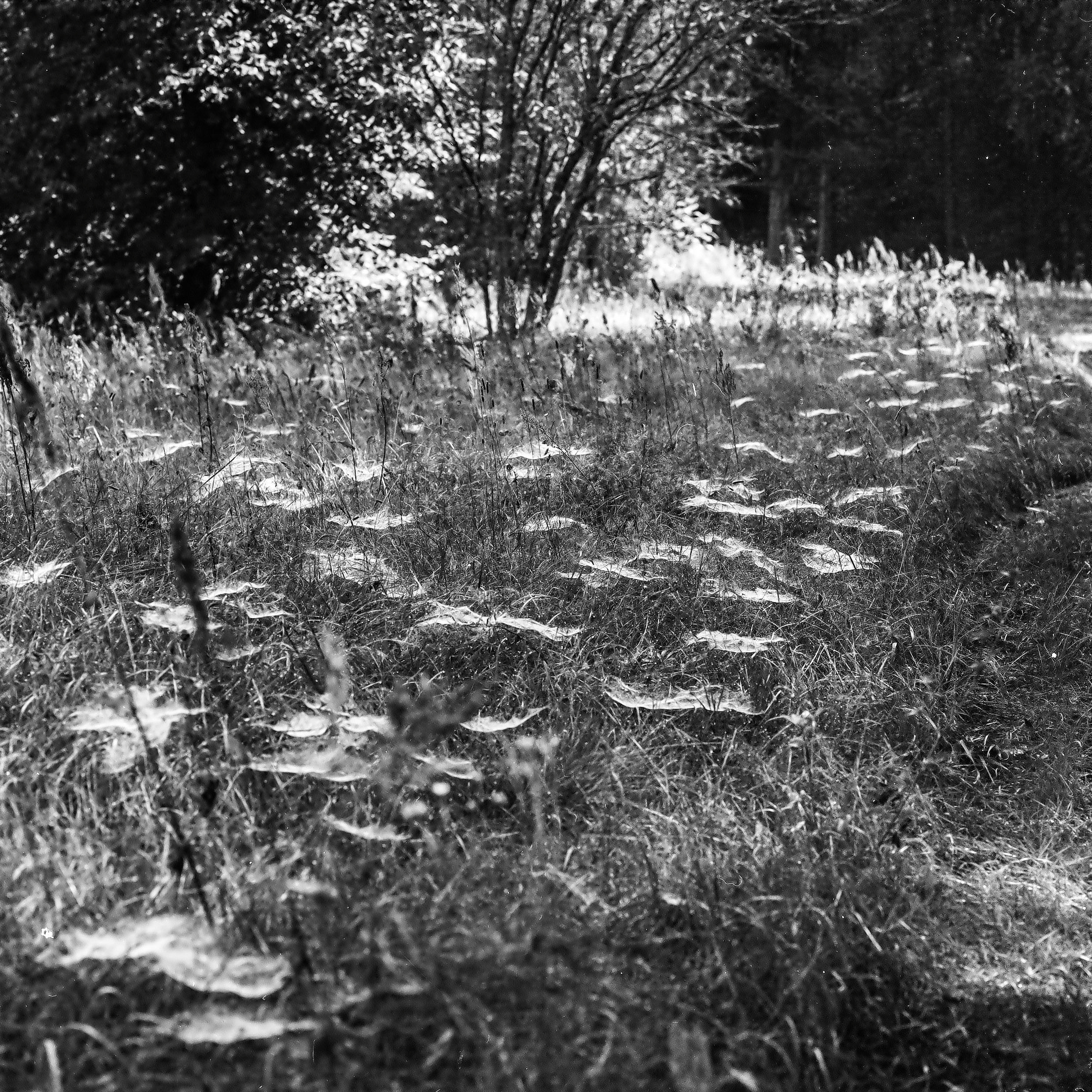 VILIA (photobook). Photographer, Documentary and Art