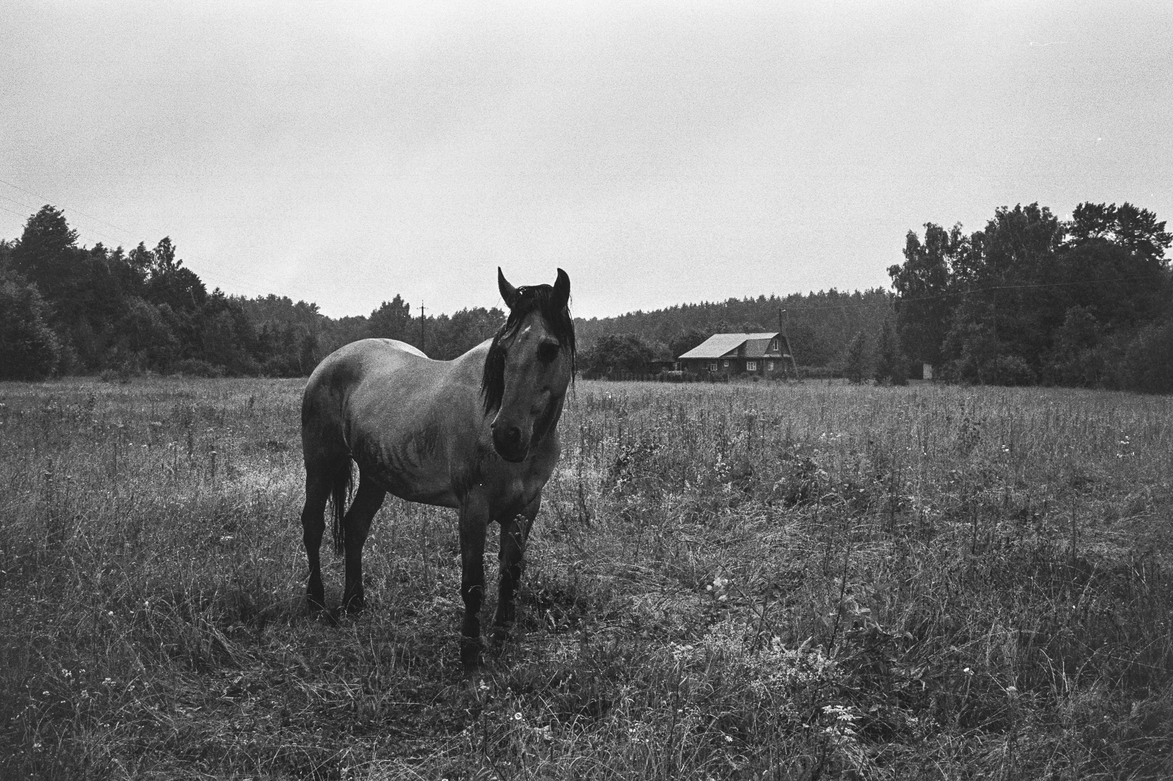 VILIA (photobook). Photographer, Documentary and Art