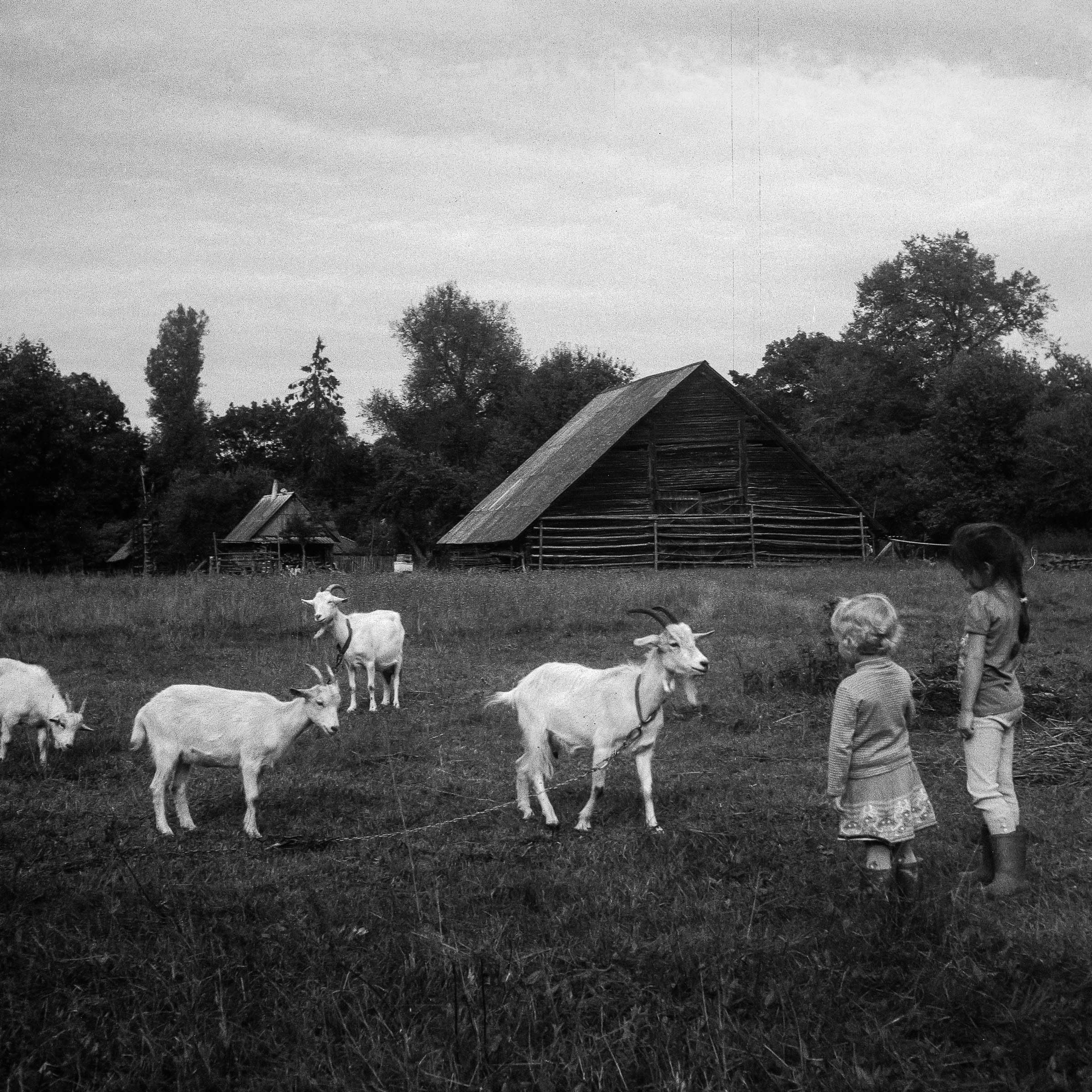VILIA (photobook). Photographer, Documentary and Art