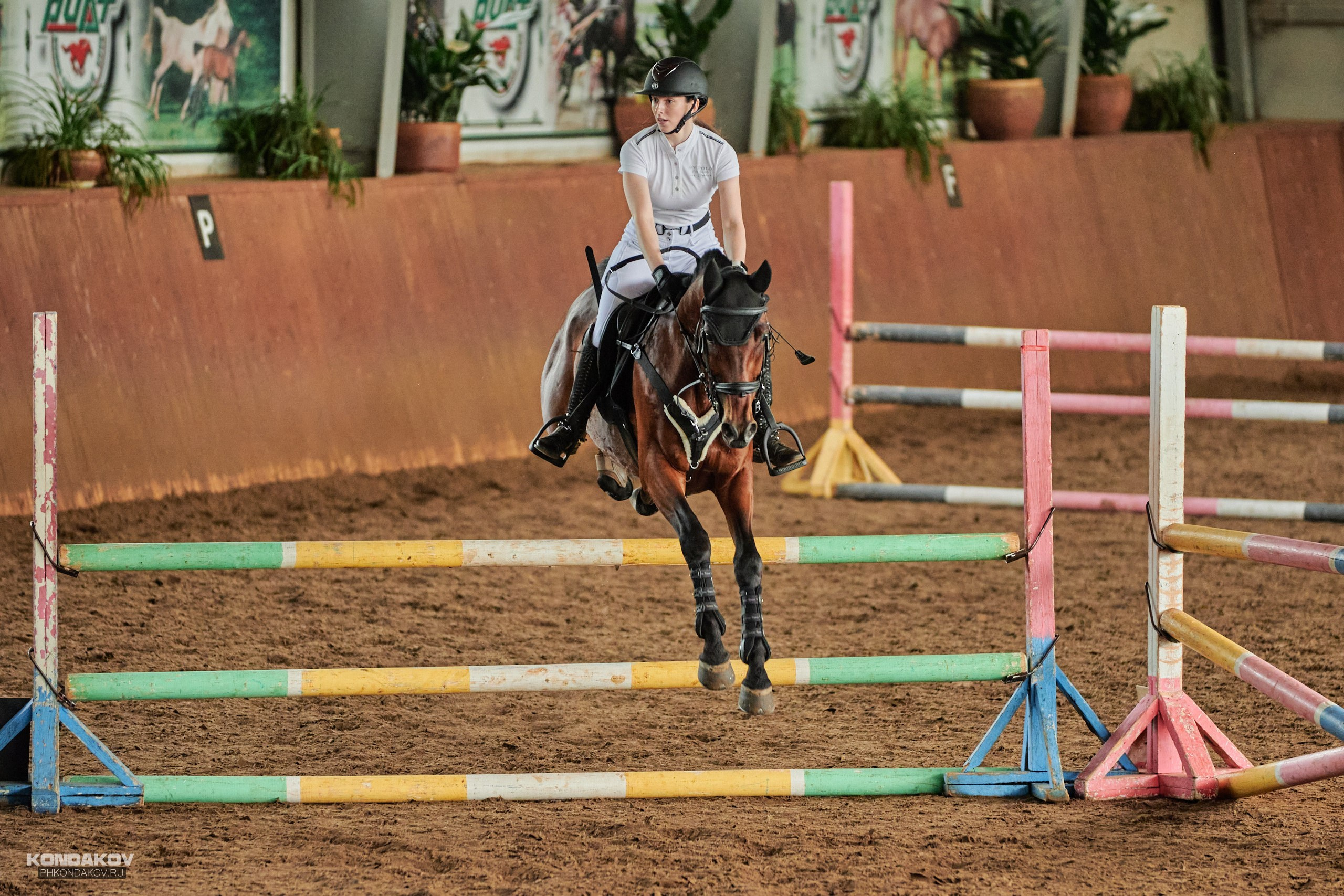 Съемка соревнований по конкуру для Риат. Фотограф в Иваново: Каталожная съемка одежды и постельного белья, Wildberries
