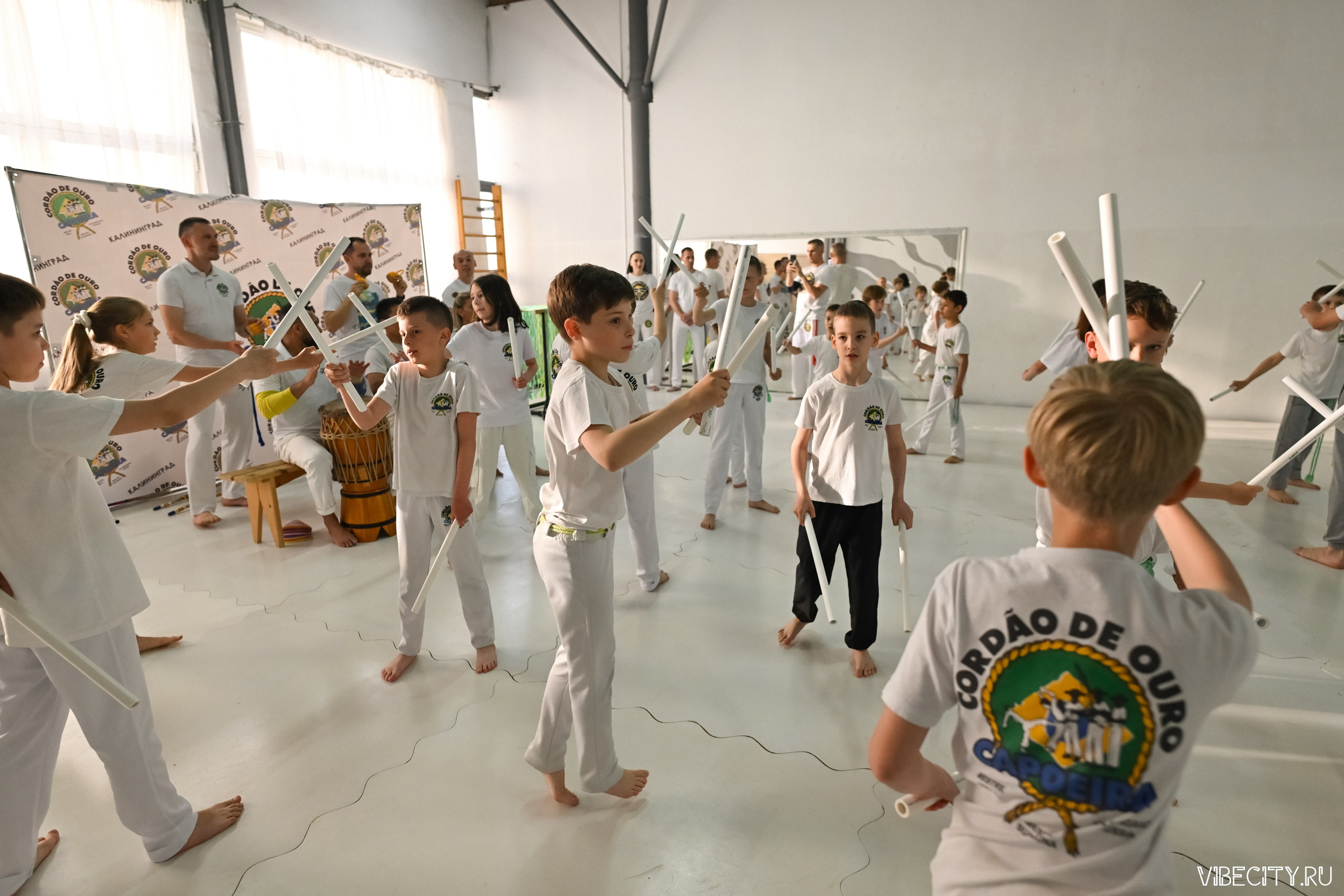 Capoeira: 4-е batizado e Troca de cordao. VIBECITY.RU Вайб Сити Ру Фоторепортажи Фотоотчеты Калининград