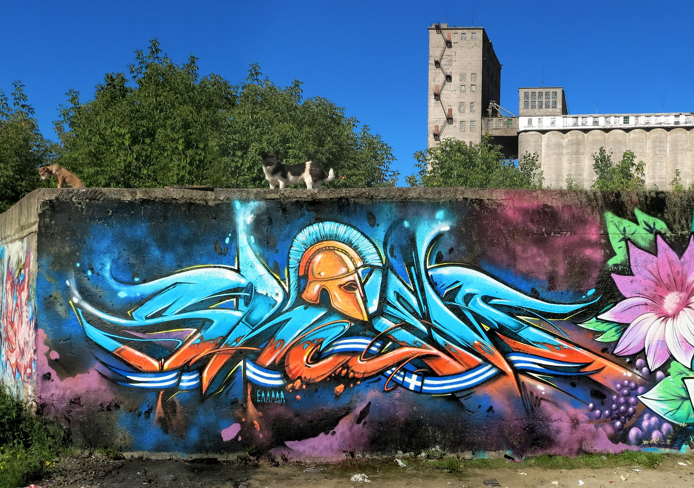 Graffiti. Alexander Stan Shimanov