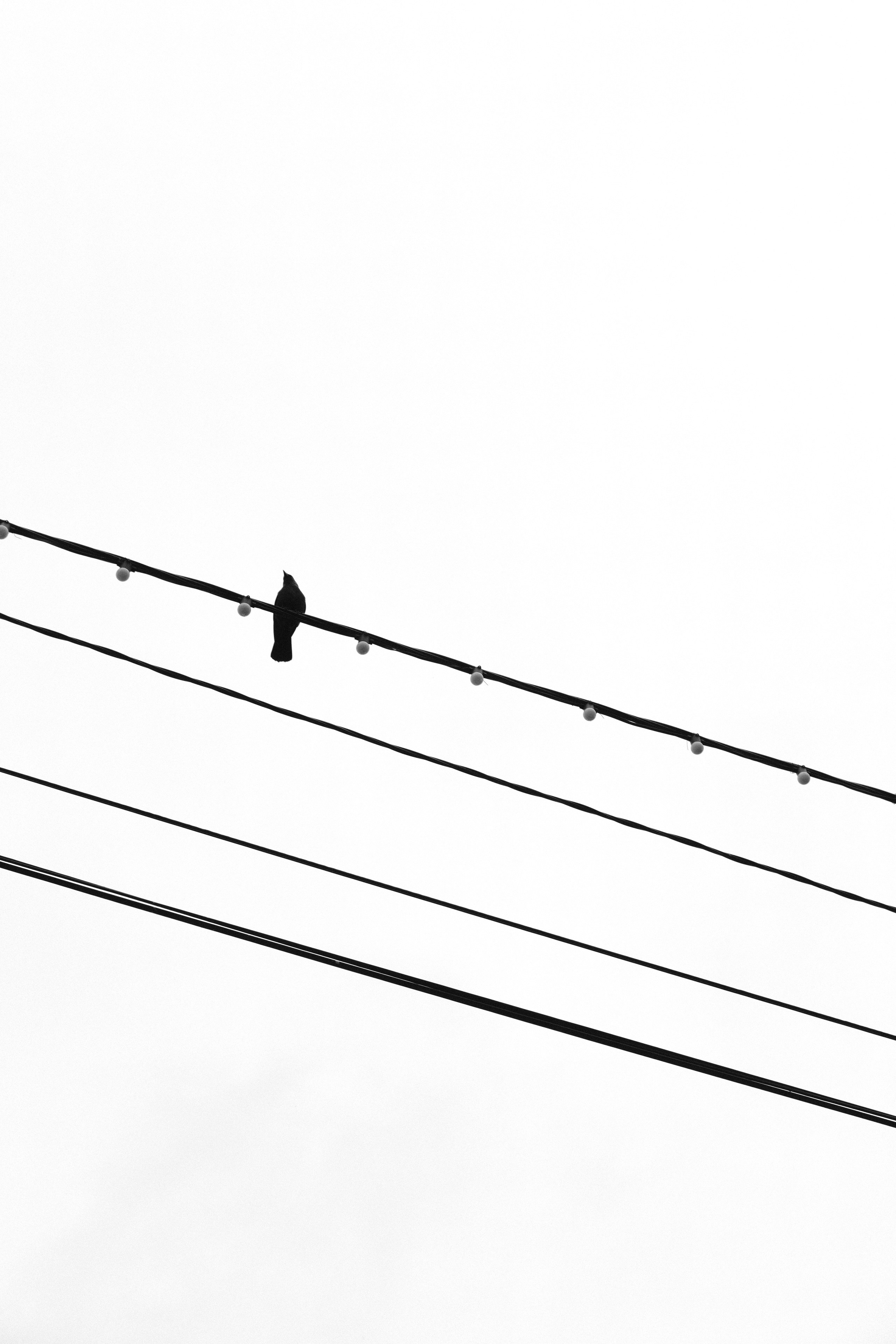 Сергиев Посад. Фотограф Маргана Лоция