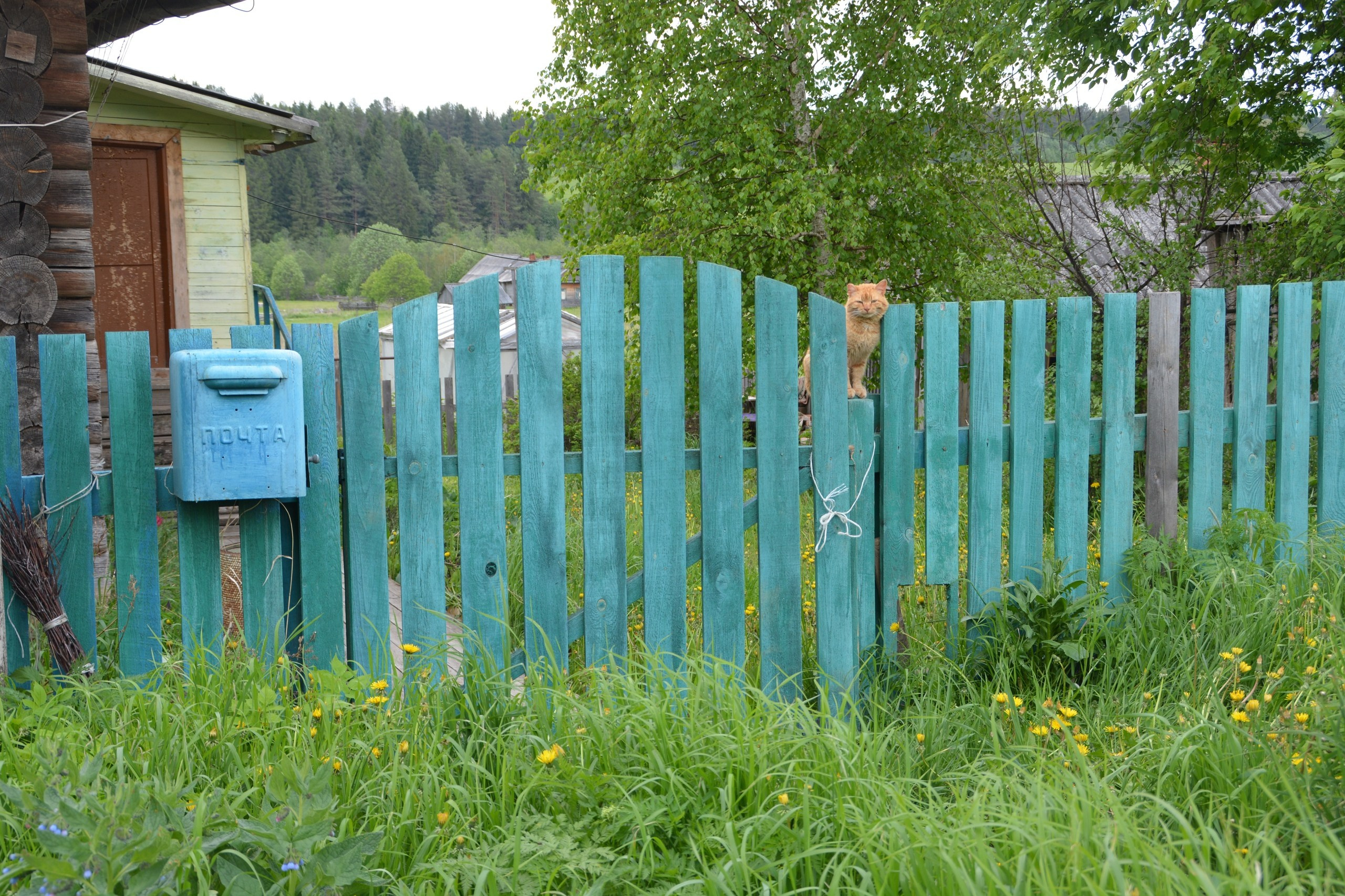Новости. Центр развития малых территорий «Журавель»