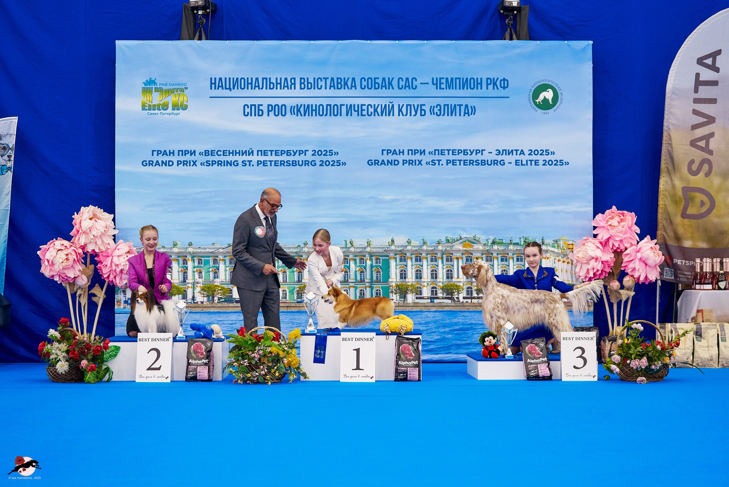 ГРАН ПРИ «ВЕСЕННИЙ ПЕТЕРБУРГ» & «СУПЕР КУБОК «ЭЛИТЫ»-2025»