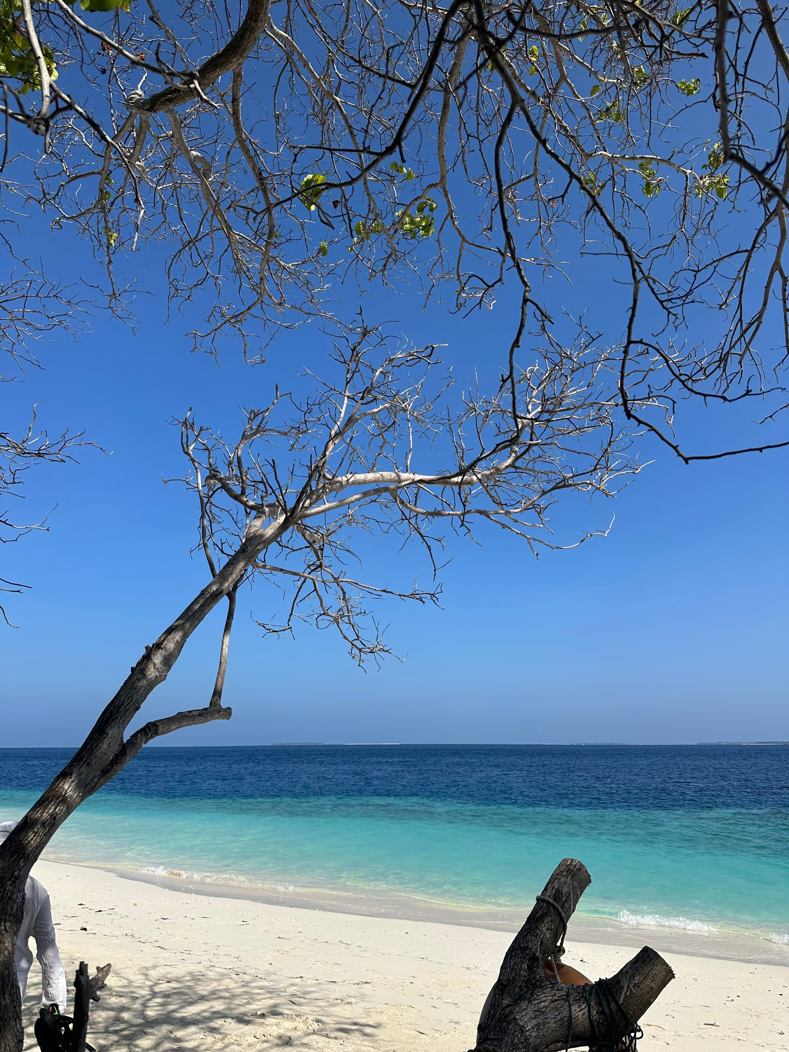 Вода. Эстет в моменте