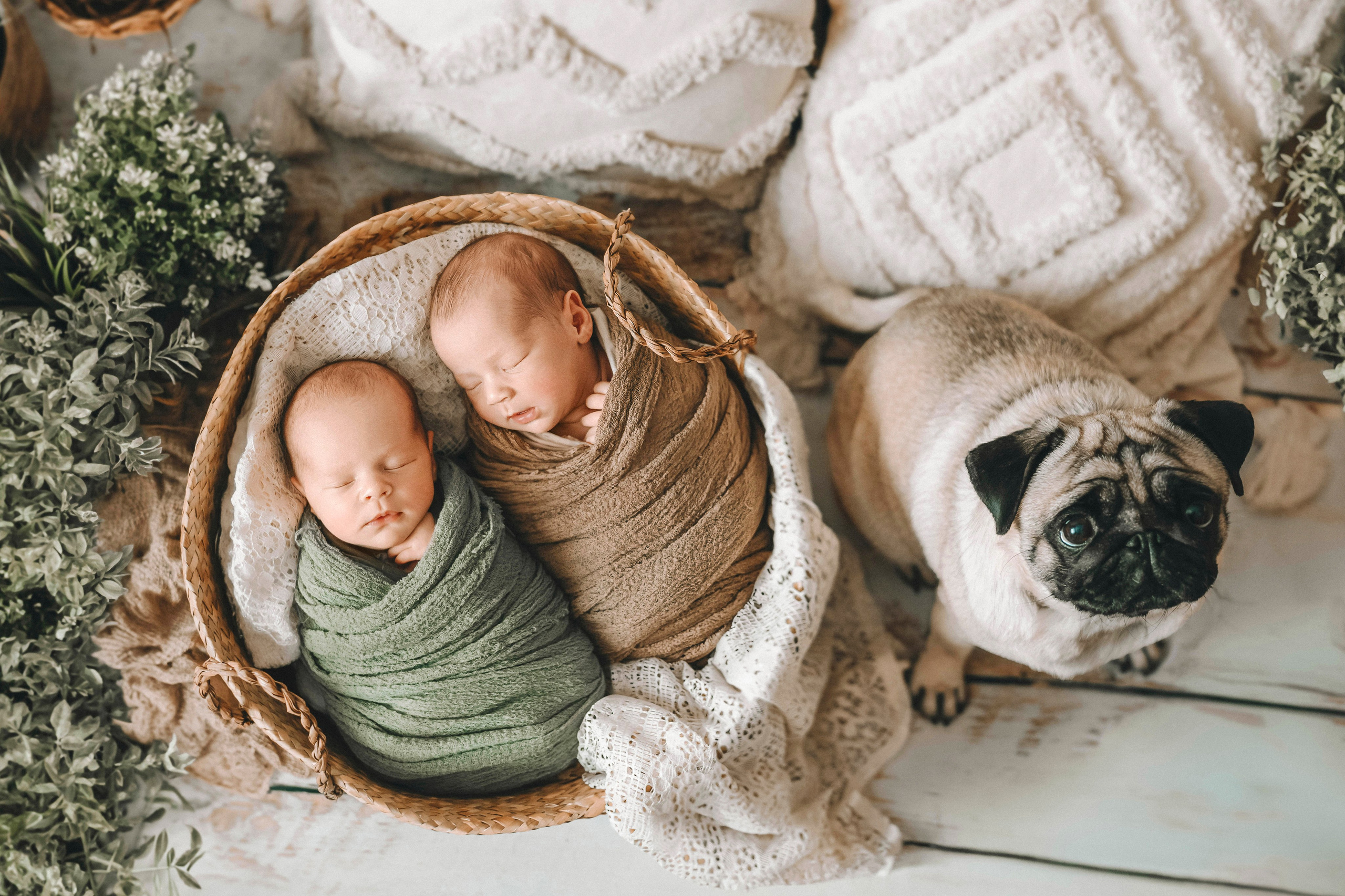 Фотограф новорожденных в Москве Кристина Левит