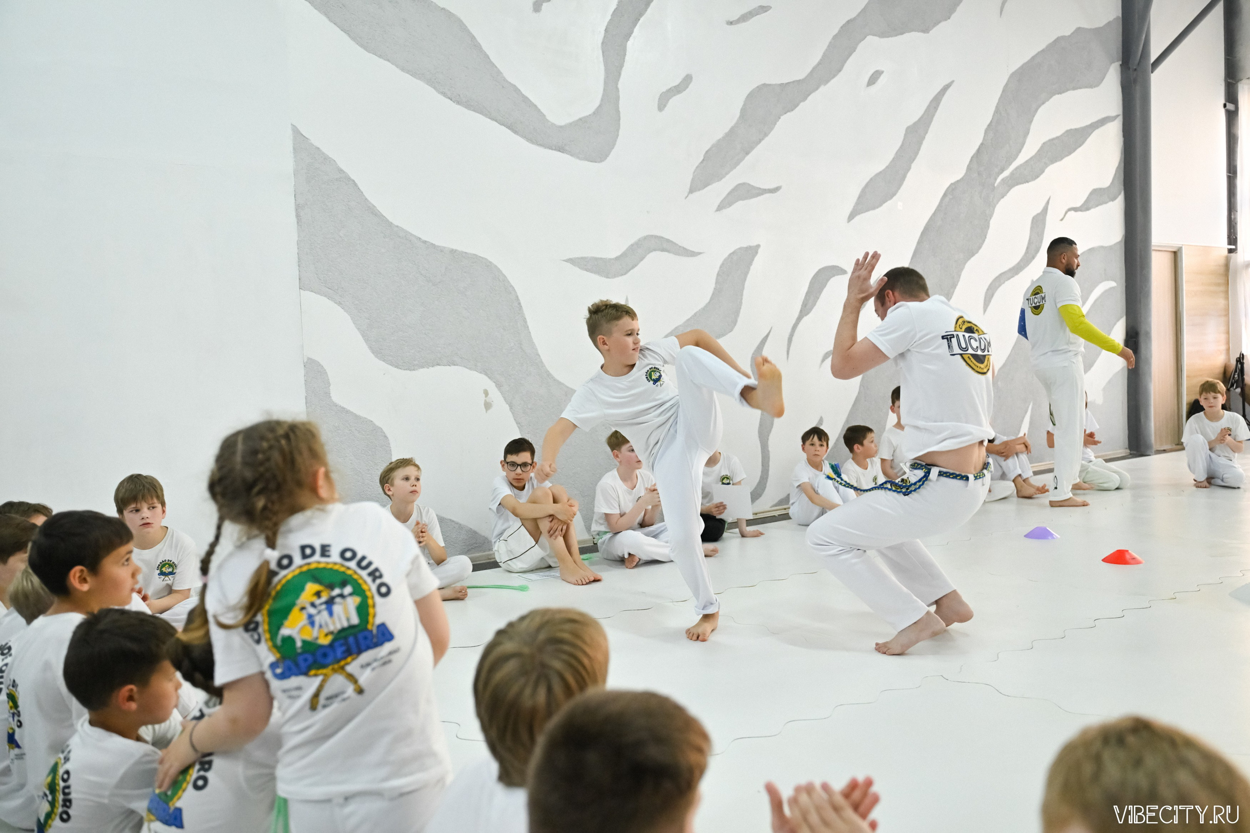 Capoeira: 4-е batizado e Troca de cordao. VIBECITY.RU Вайб Сити Ру Фоторепортажи Фотоотчеты Калининград