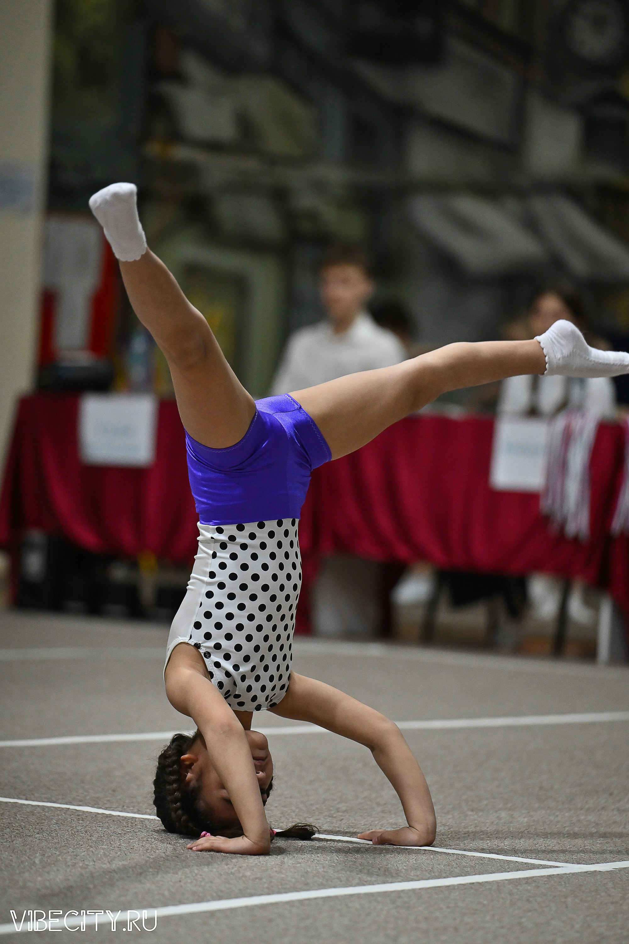Контрольная тренировка по спортивной гимнастике. VIBECITY.RU Вайб Сити Ру Фоторепортажи Фотоотчеты Калининград