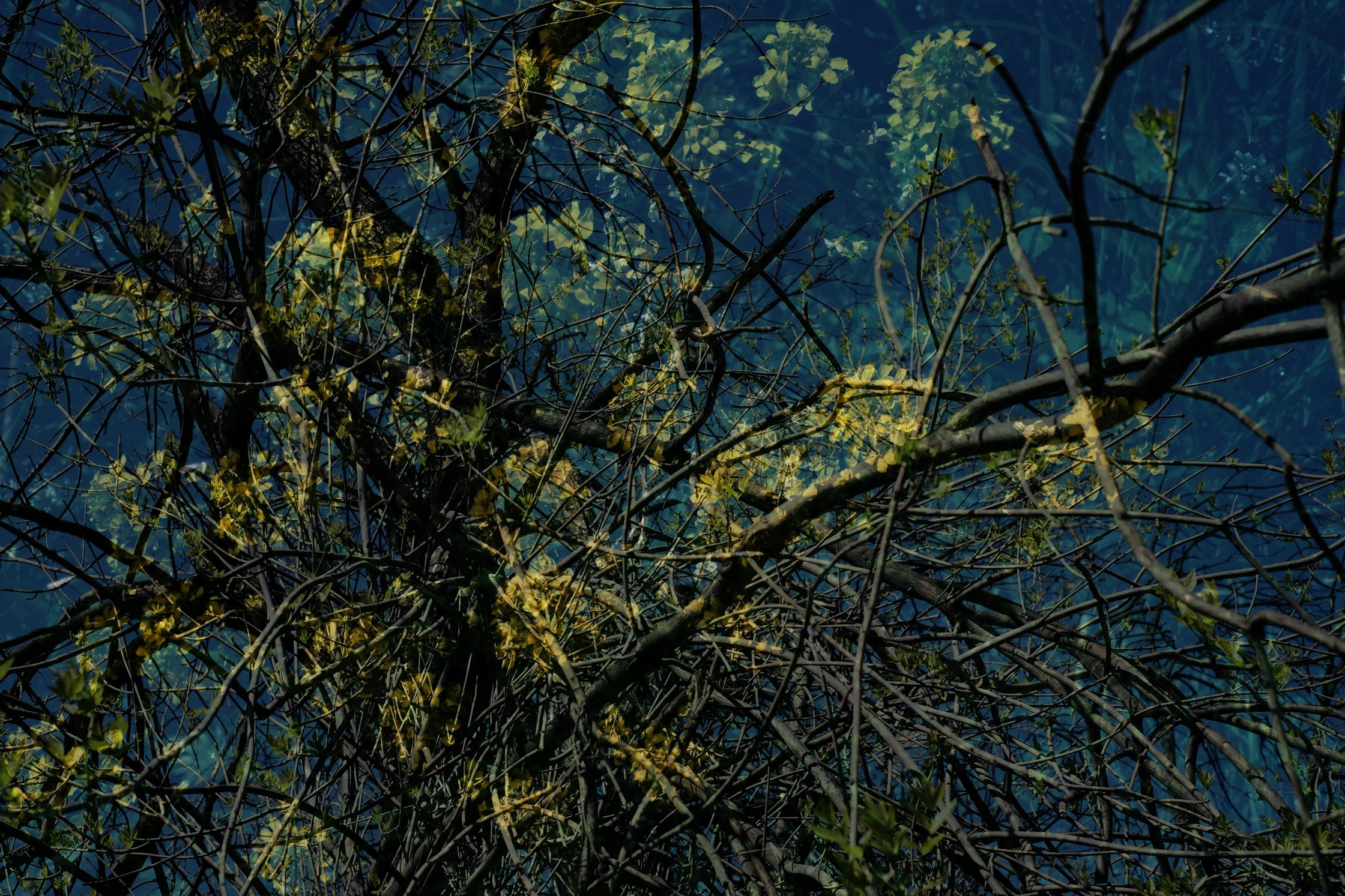 What Happened?. Margarita Rodionova — a contemporary lens-based artist currently working in Cancun, Mexico