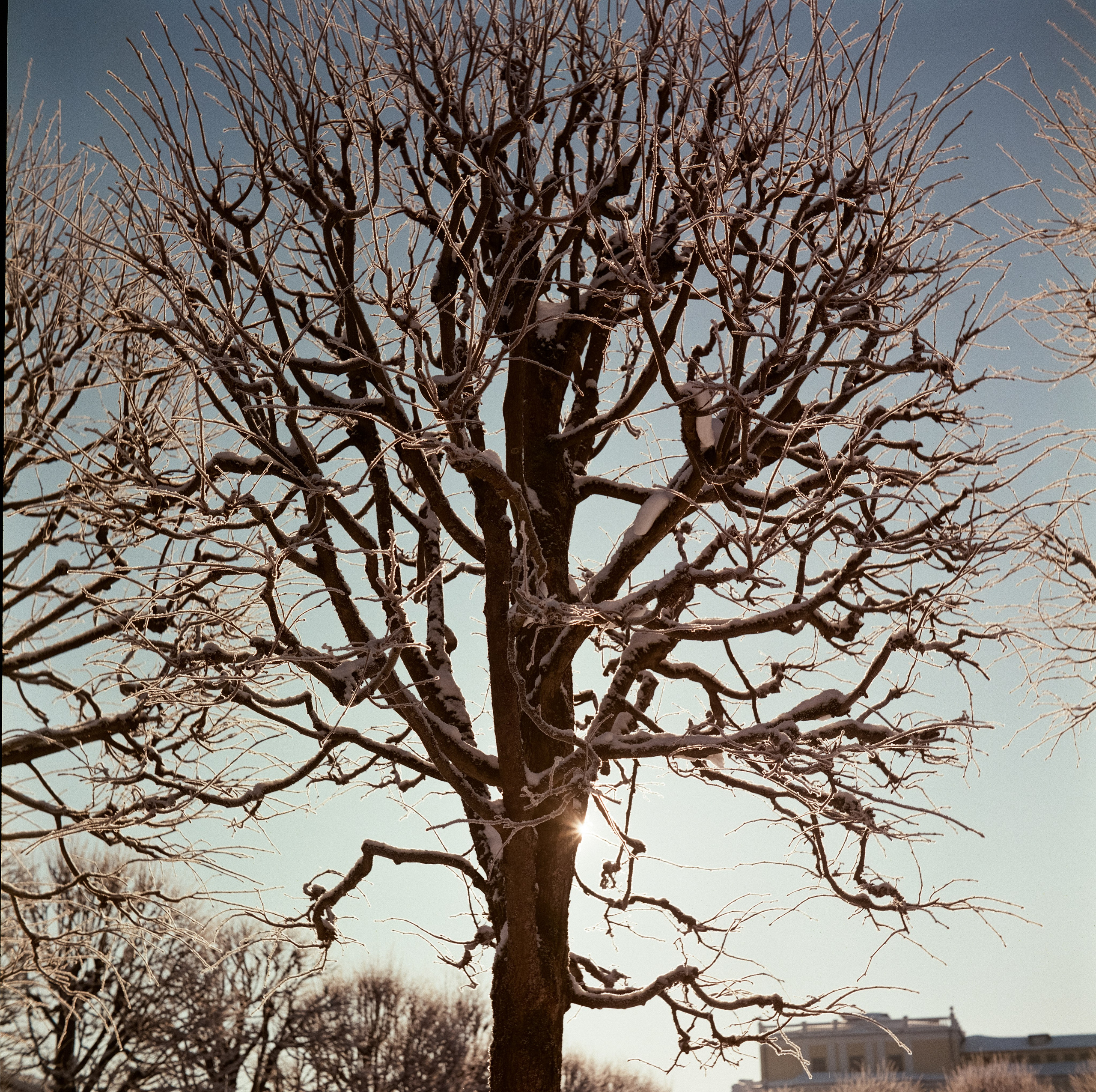 Архангельское