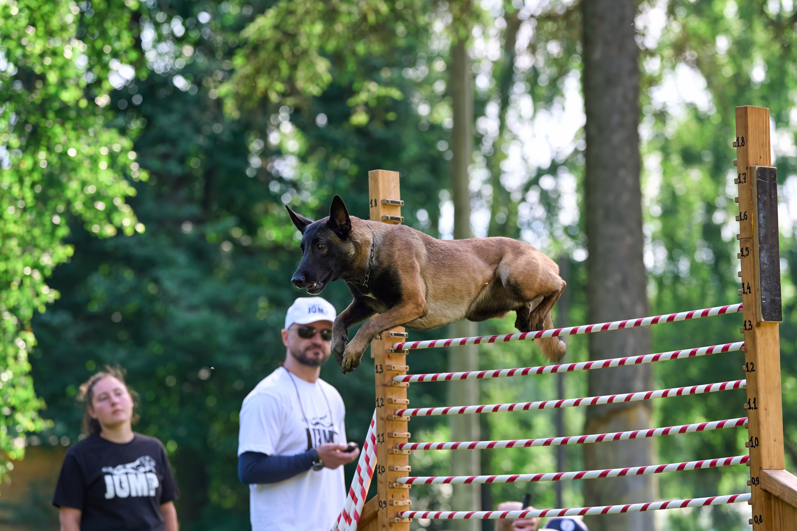Двухдневные соревнования «Jump'n'Gym Fest — 2024». Фотограф-анималист Михаил Манухин