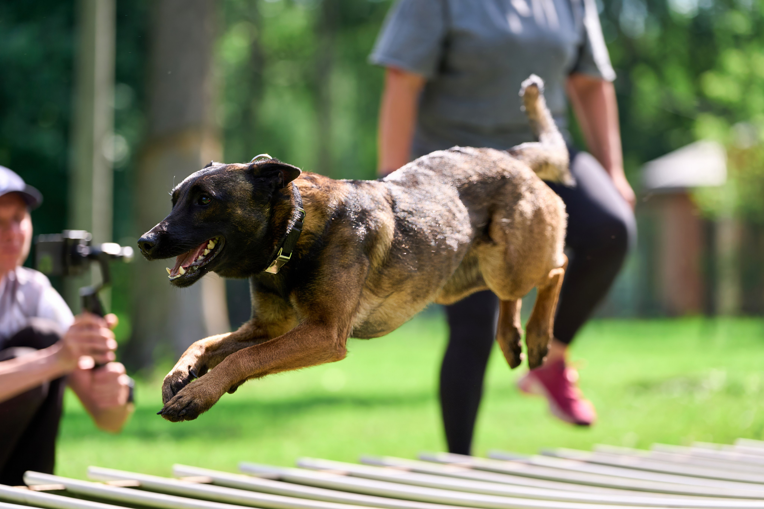 Двухдневные соревнования «Jump'n'Gym Fest — 2024». Фотограф-анималист Михаил Манухин