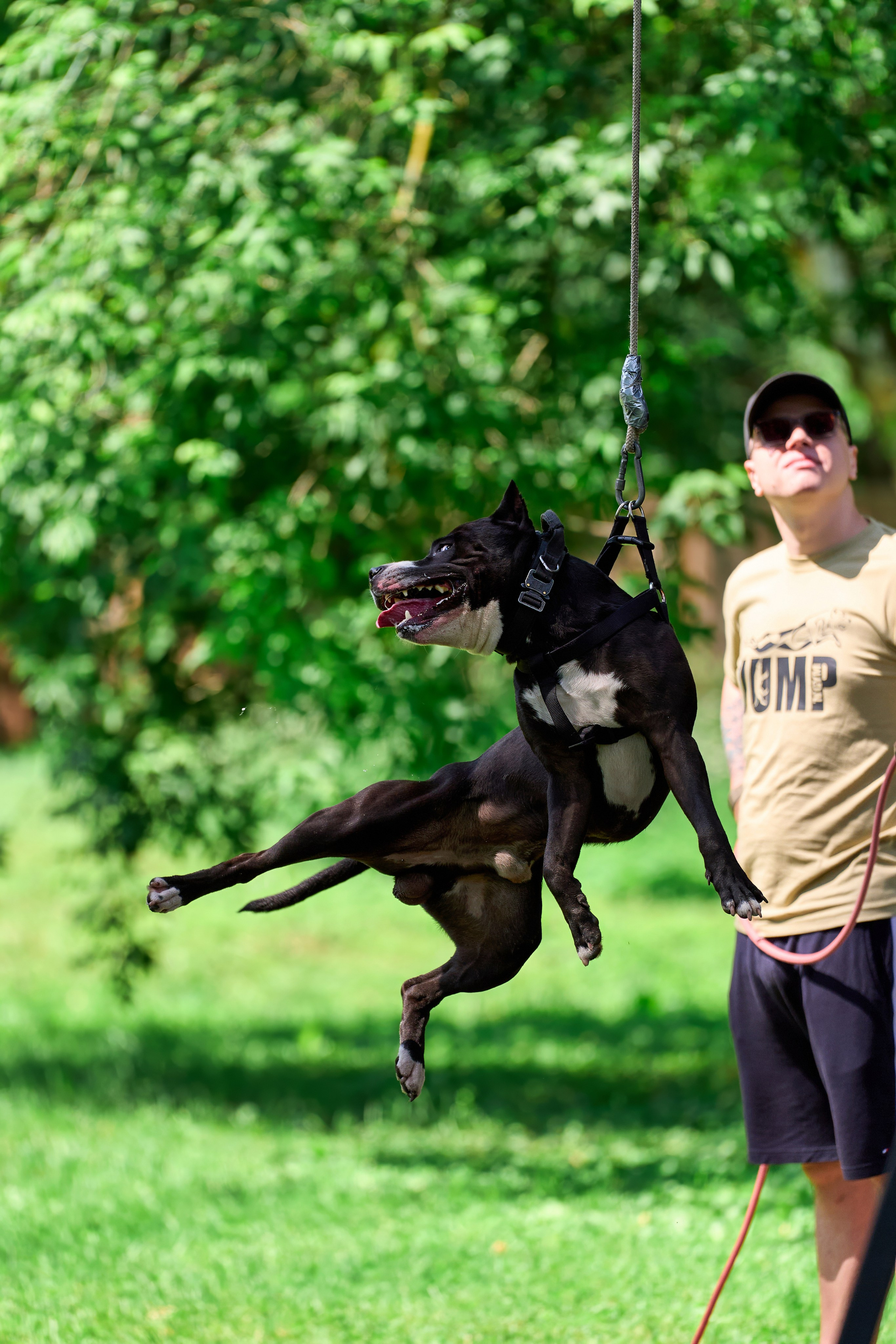 Двухдневные соревнования «Jump'n'Gym Fest — 2024». Фотограф-анималист Михаил Манухин