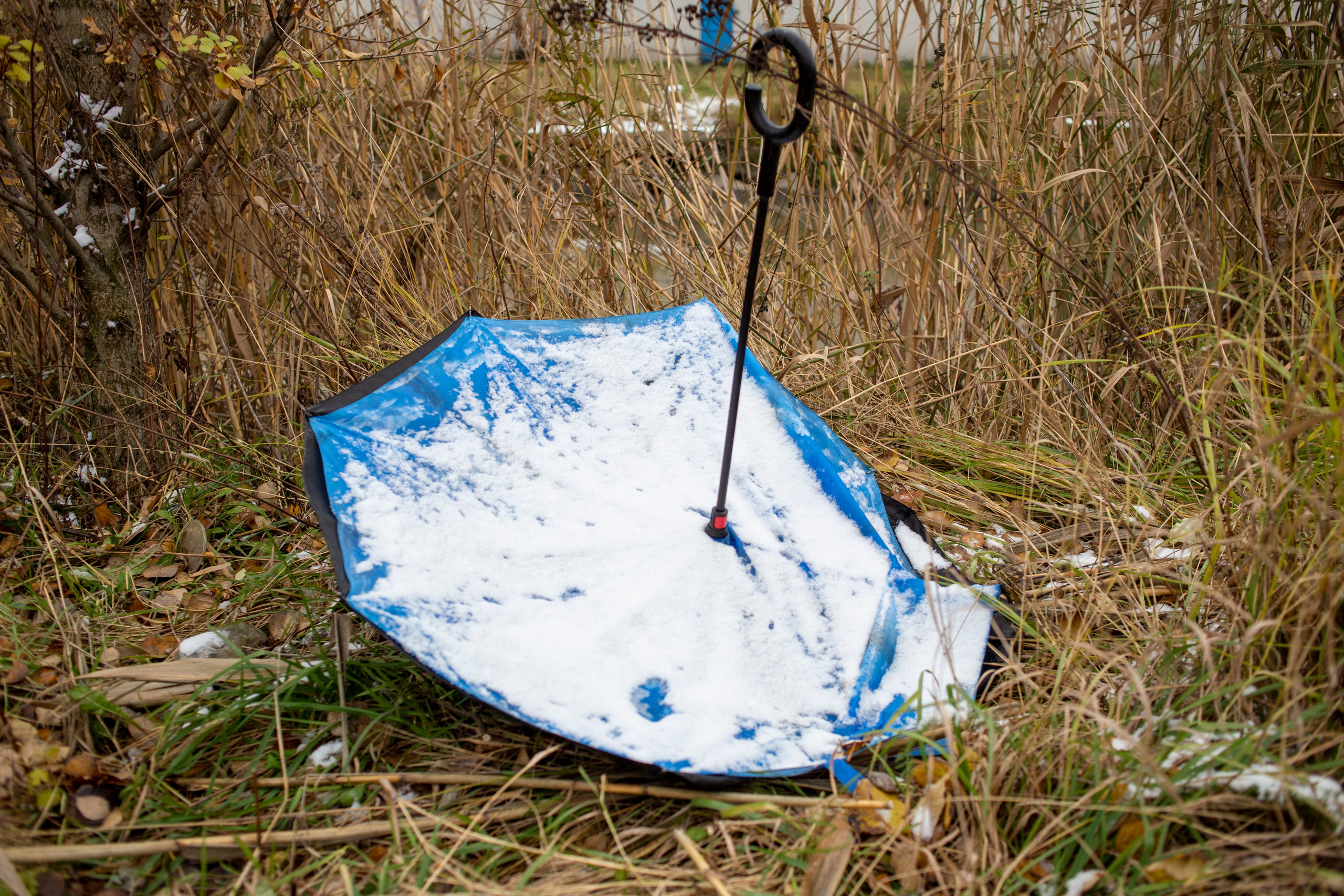 Сумерки речи. Михаил Курганов