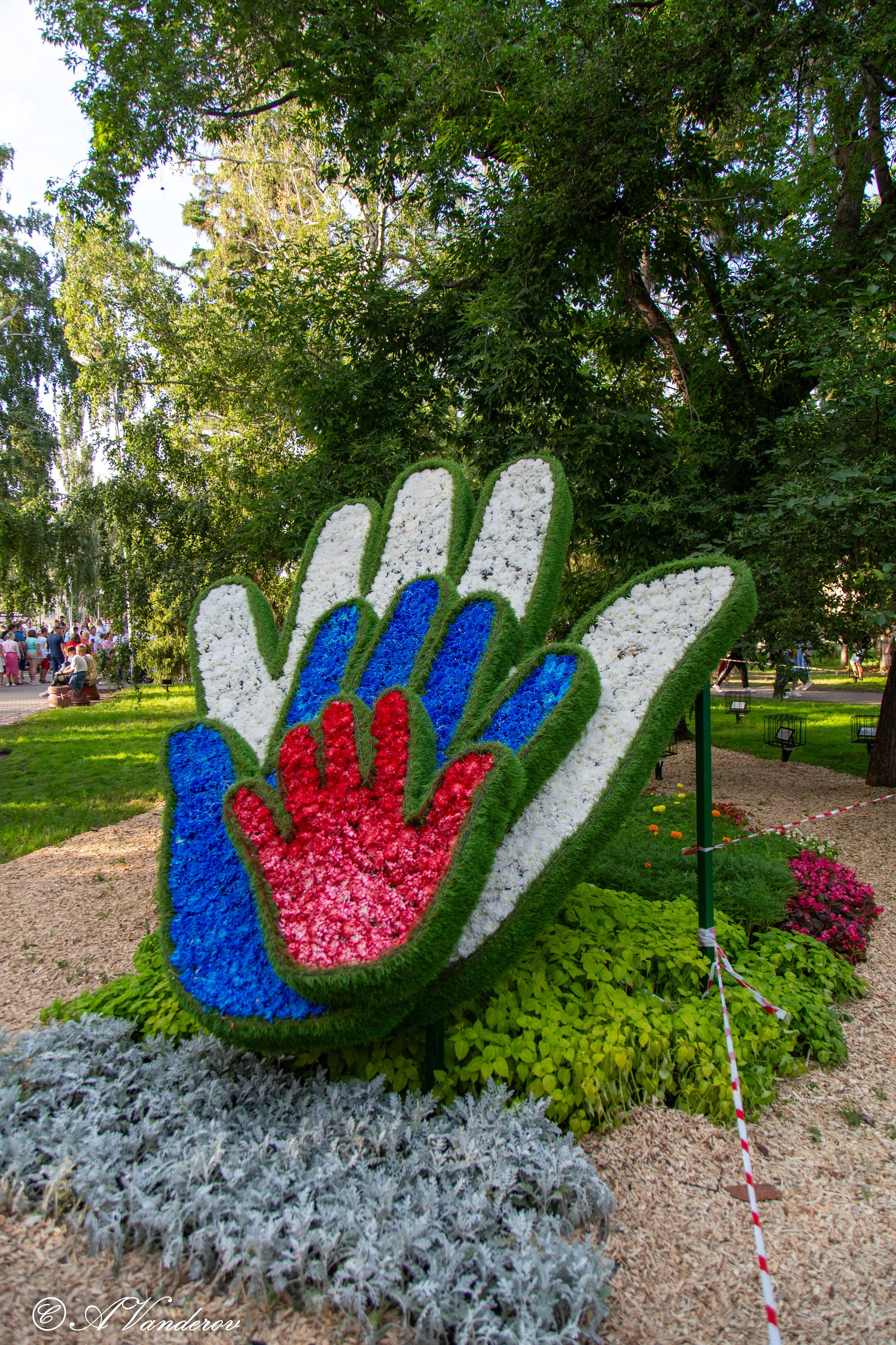 День города 03.08.2024. Фотограф Омск | Александр Вандеров