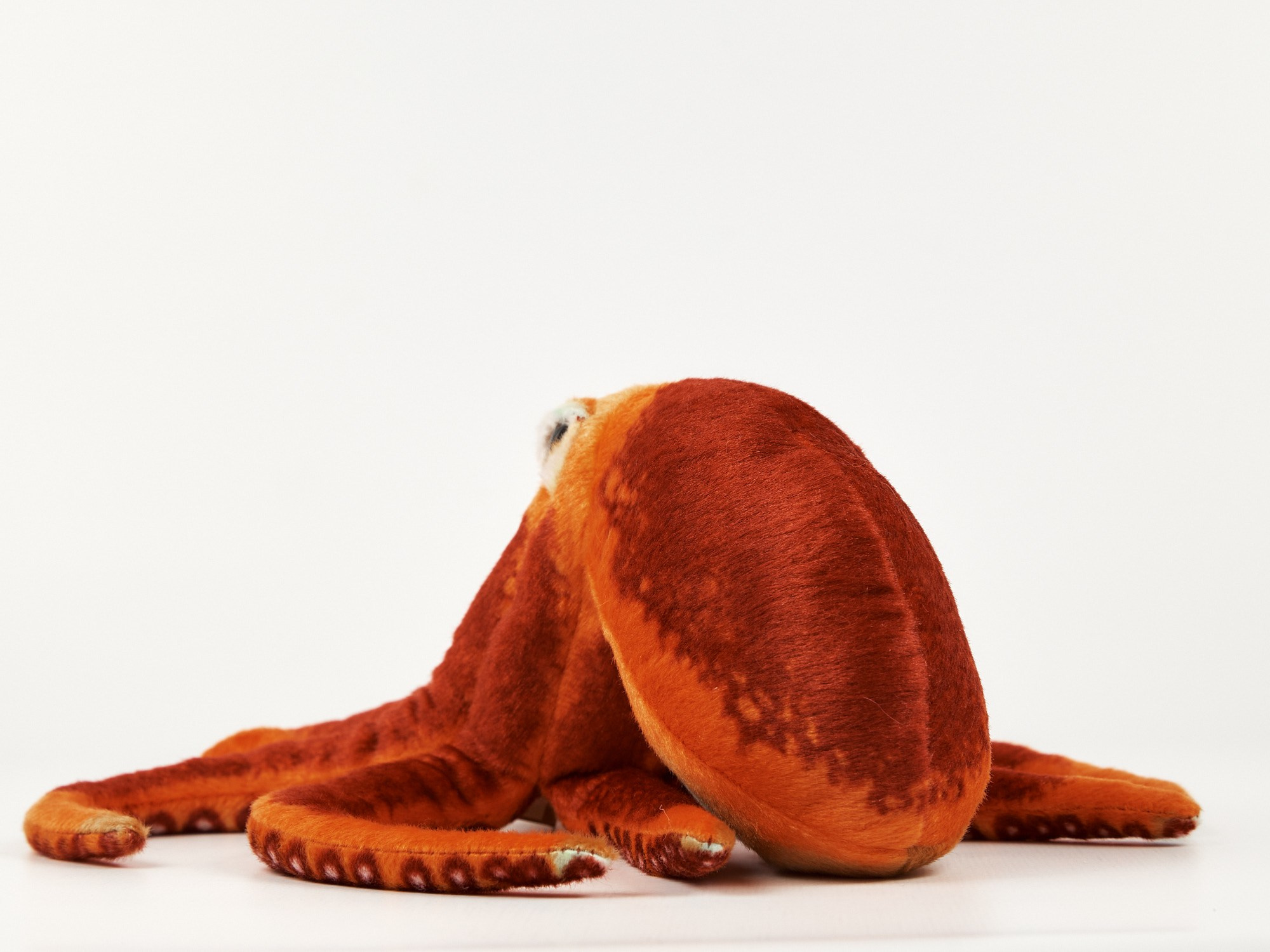 Moscow Zoo. Фотограф видеограф в Москве