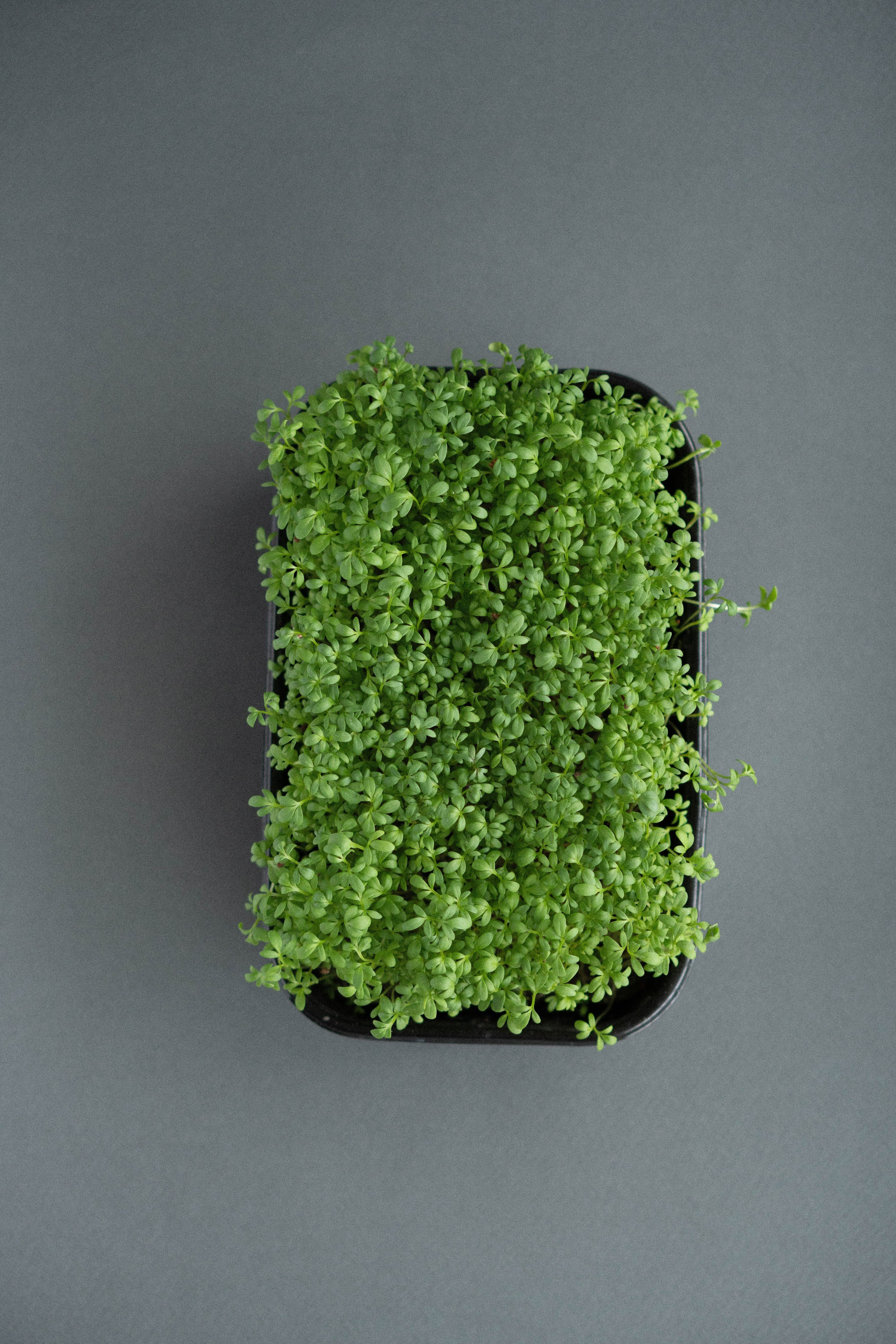 Предметная съемка. Видеограф Зинченко Татьяна г. Пермь